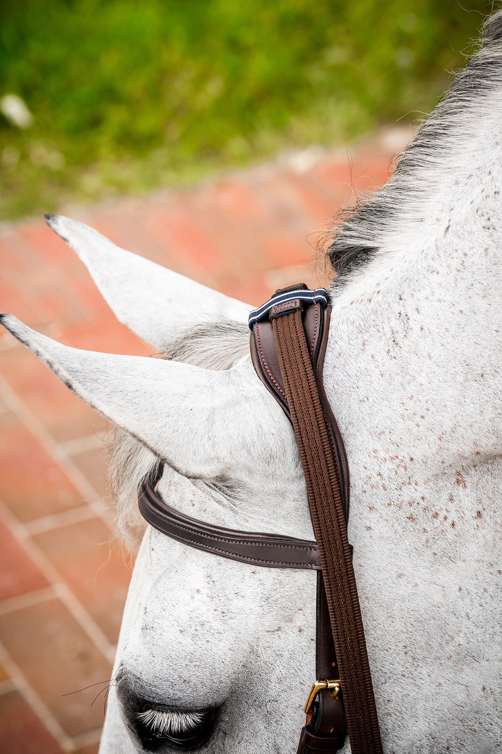 Horseware Micklem 2 Multi Bridle Bridles & Reins