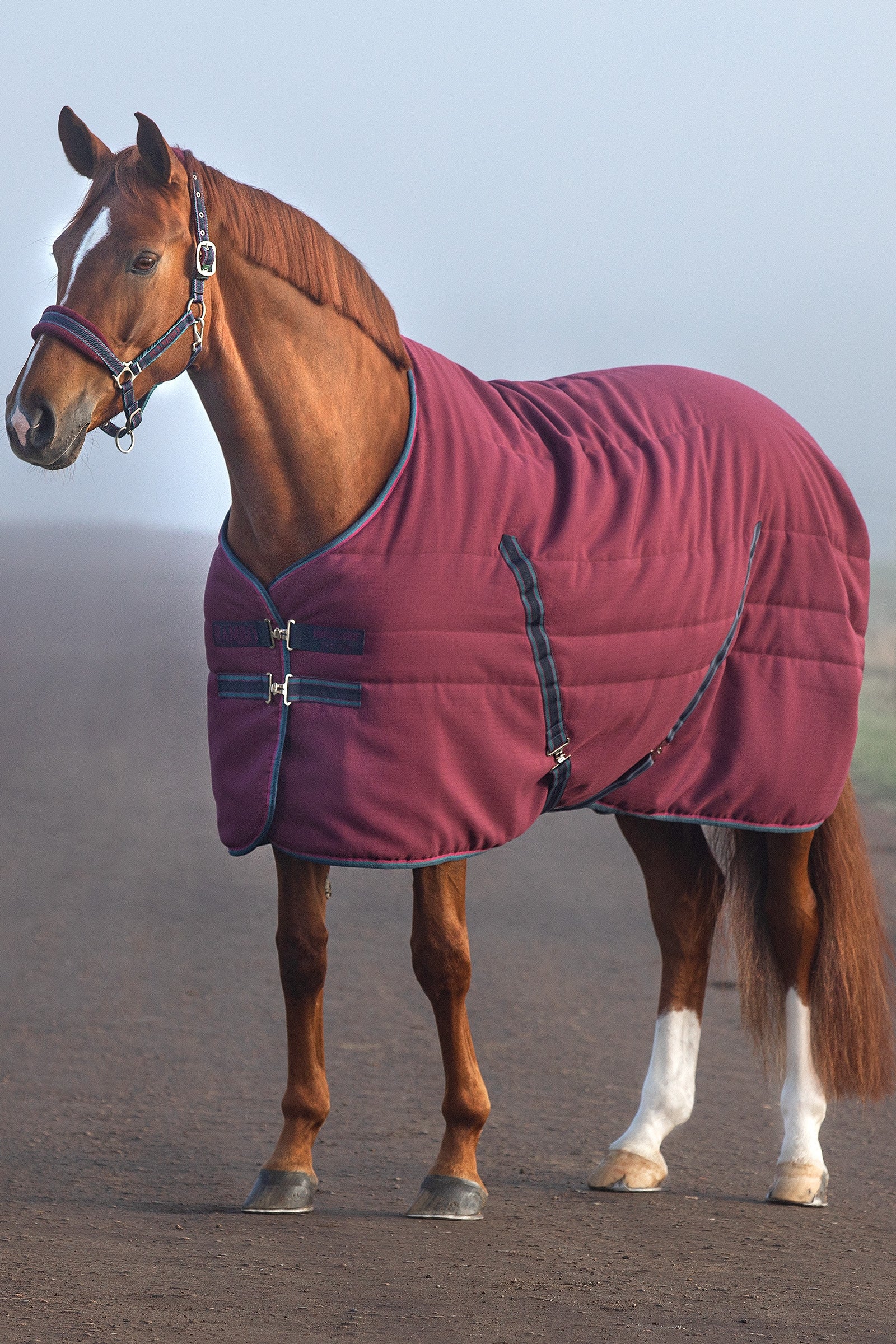 Horseware Rambo Coperta da scuderia con fodera goffrata, 100 gr Coperte per cavalli