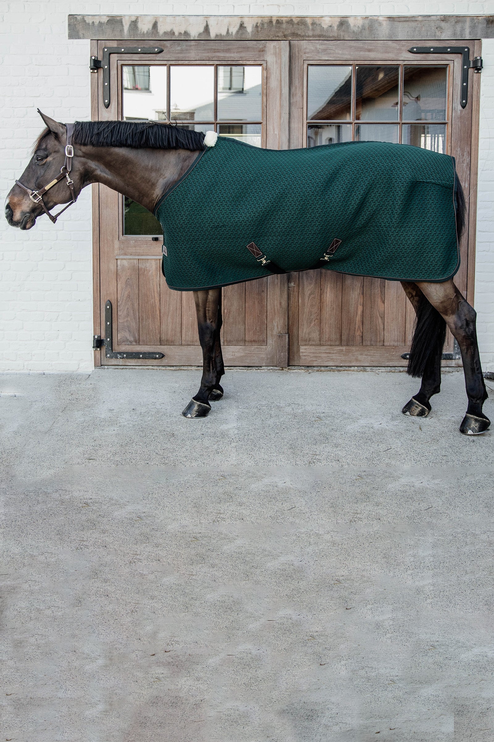 Coperta dopolavoro riflettente Safety First - Equitazione Coperta dopolavoro riflettente Safety First - Equitazione