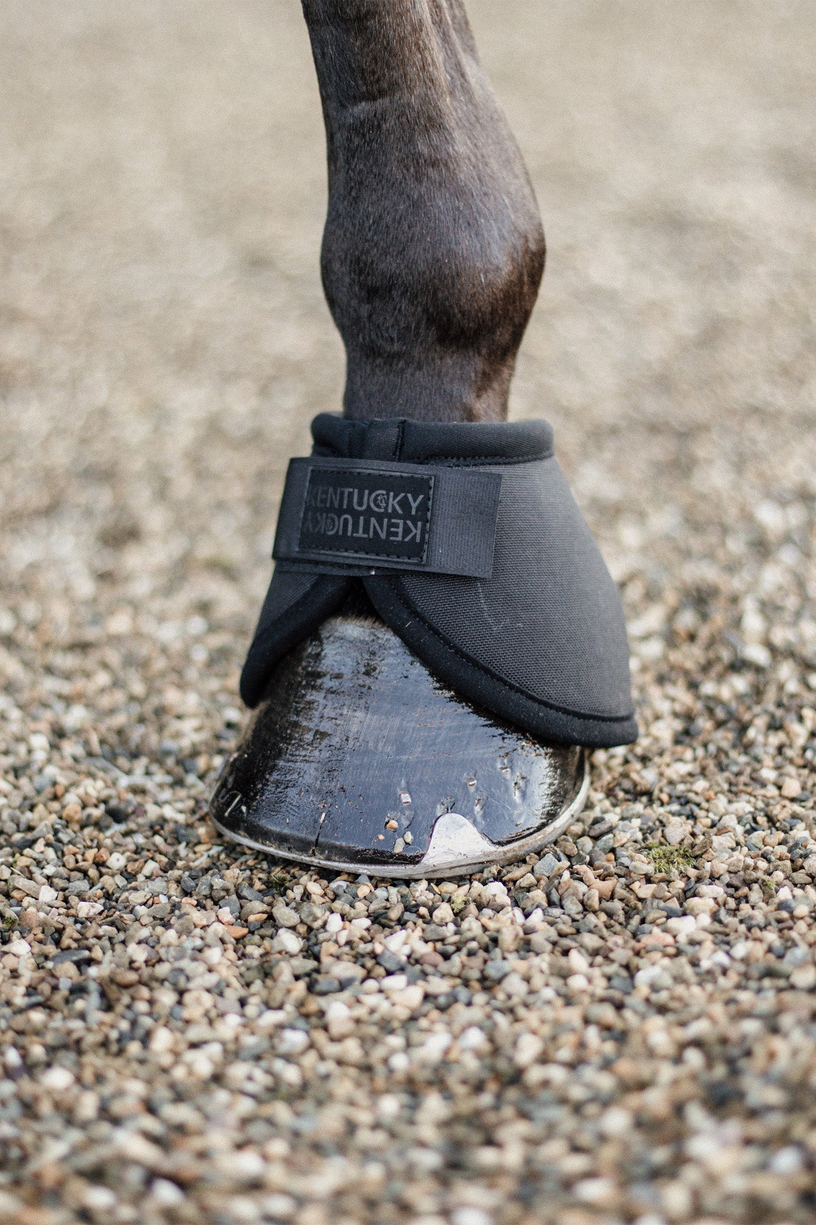Kentucky Horsewear Heel Protection Overreach Boots Leg Protection & Hoof Protection for Horses