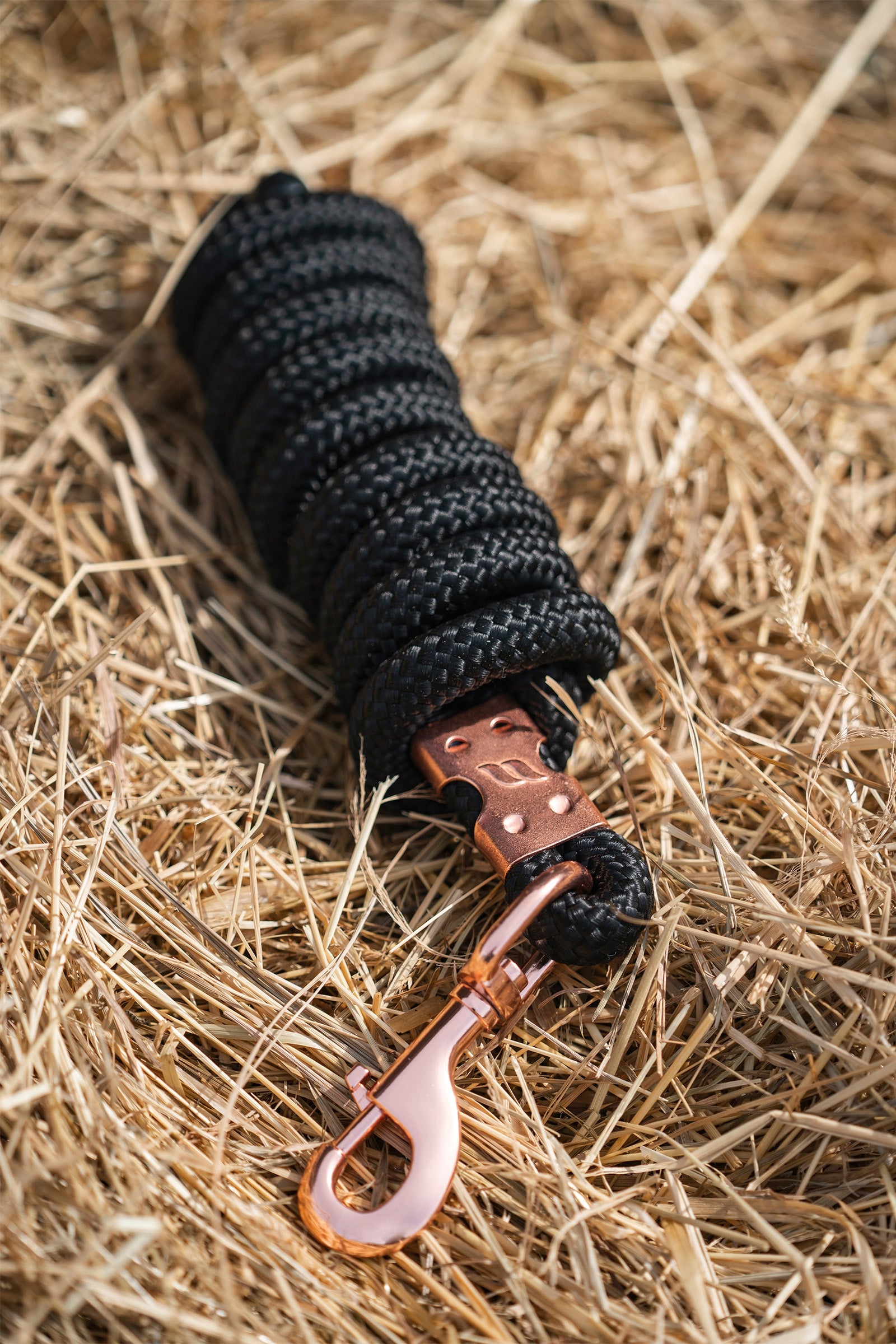 Back on Track Di nuovo in pista Ace Lead Rope Cavezze e guinsagli