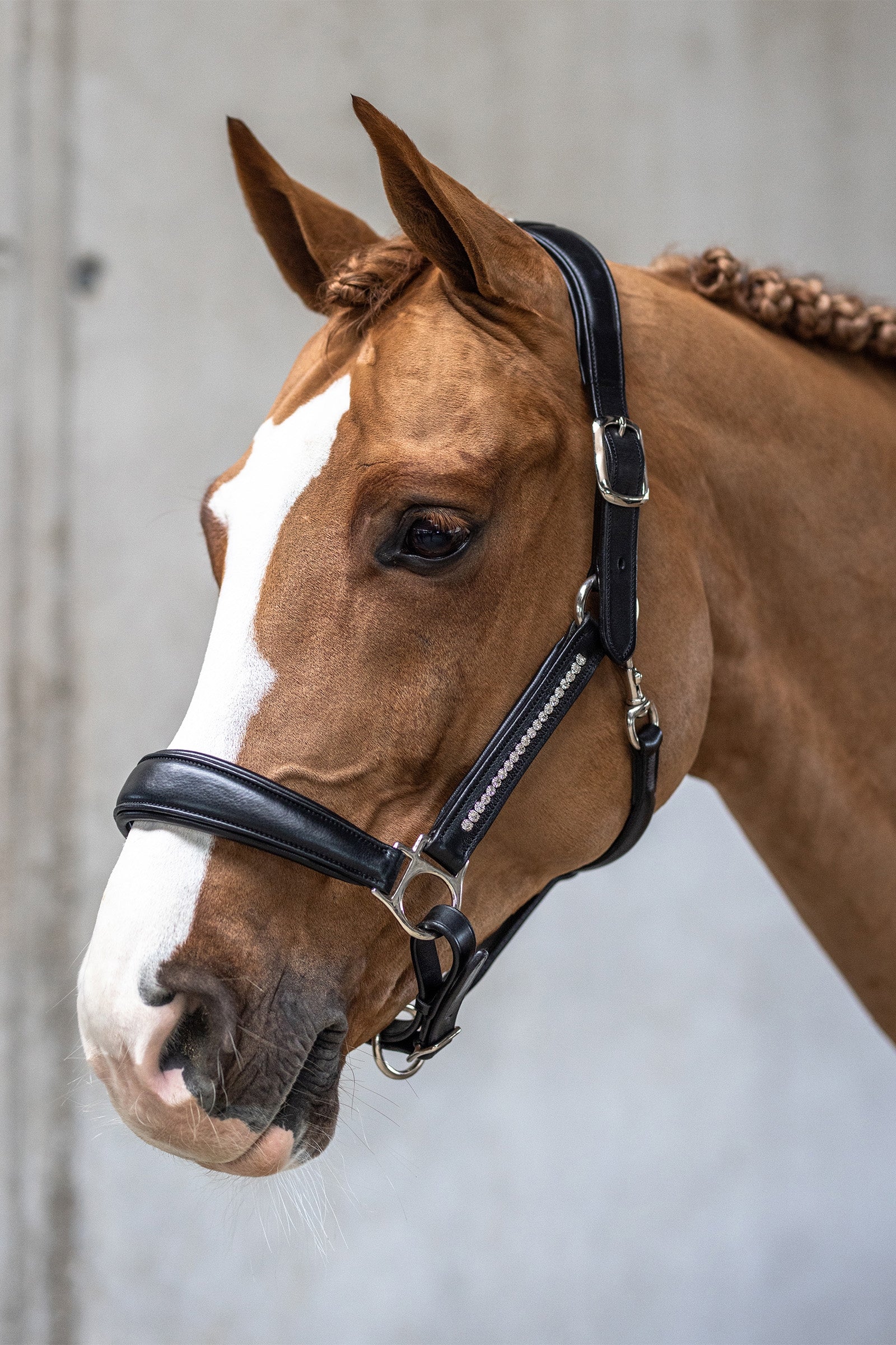 Kieffer Headcollar Ultrasoft® Luna Halters & Leads