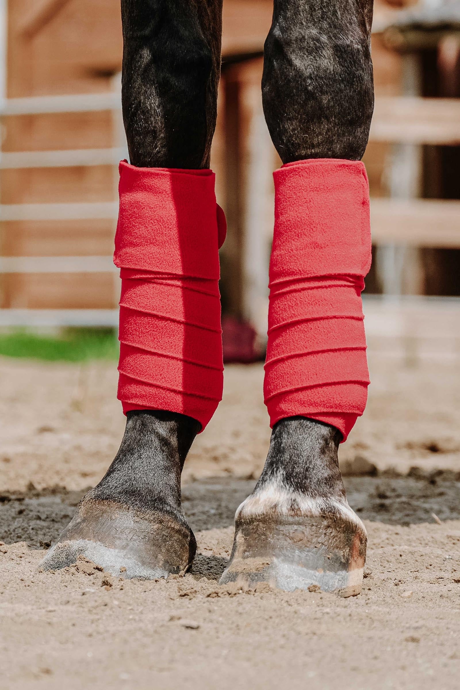 Equi Theme EQUITHÈME Polo Bands (3,0 m) Leg & Hoof Protection