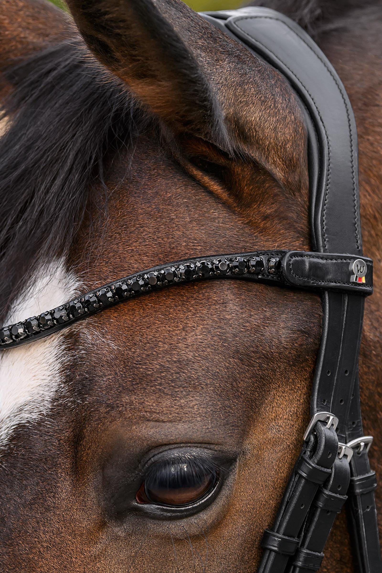 Waldhausen X-Line Shine Browband Bridles & Reins