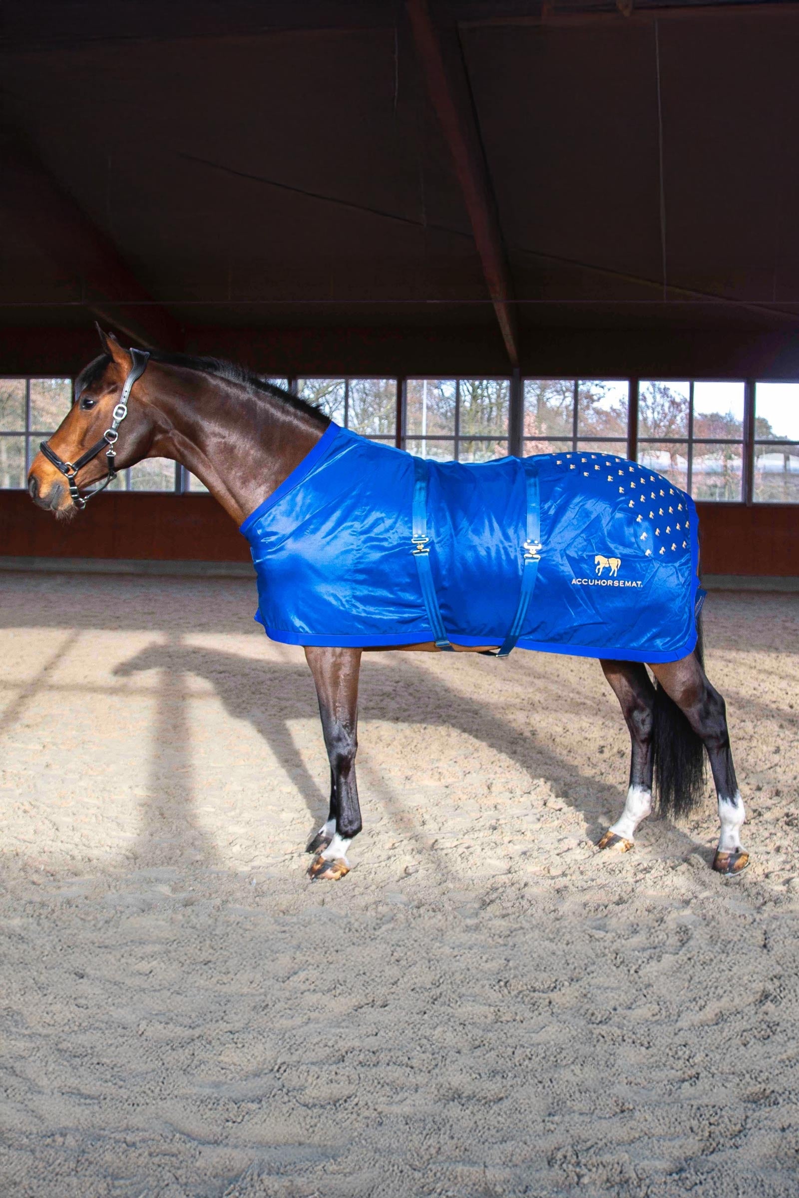 Accuhorsemat Set Original Coperte per cavalli