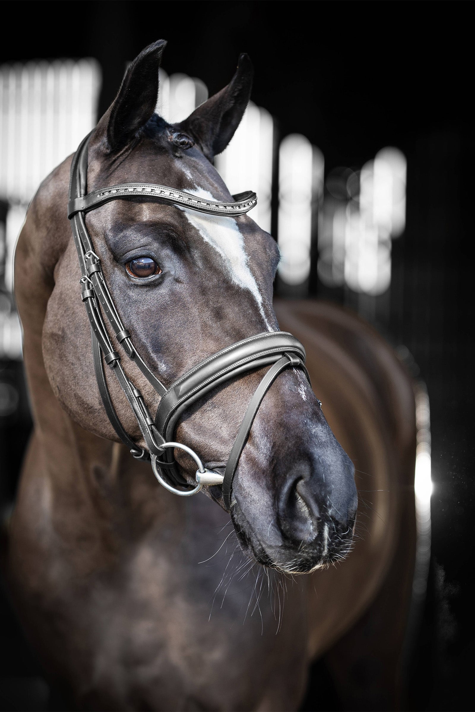LeMieux Arika Dressage Bridle Bridles & Reins