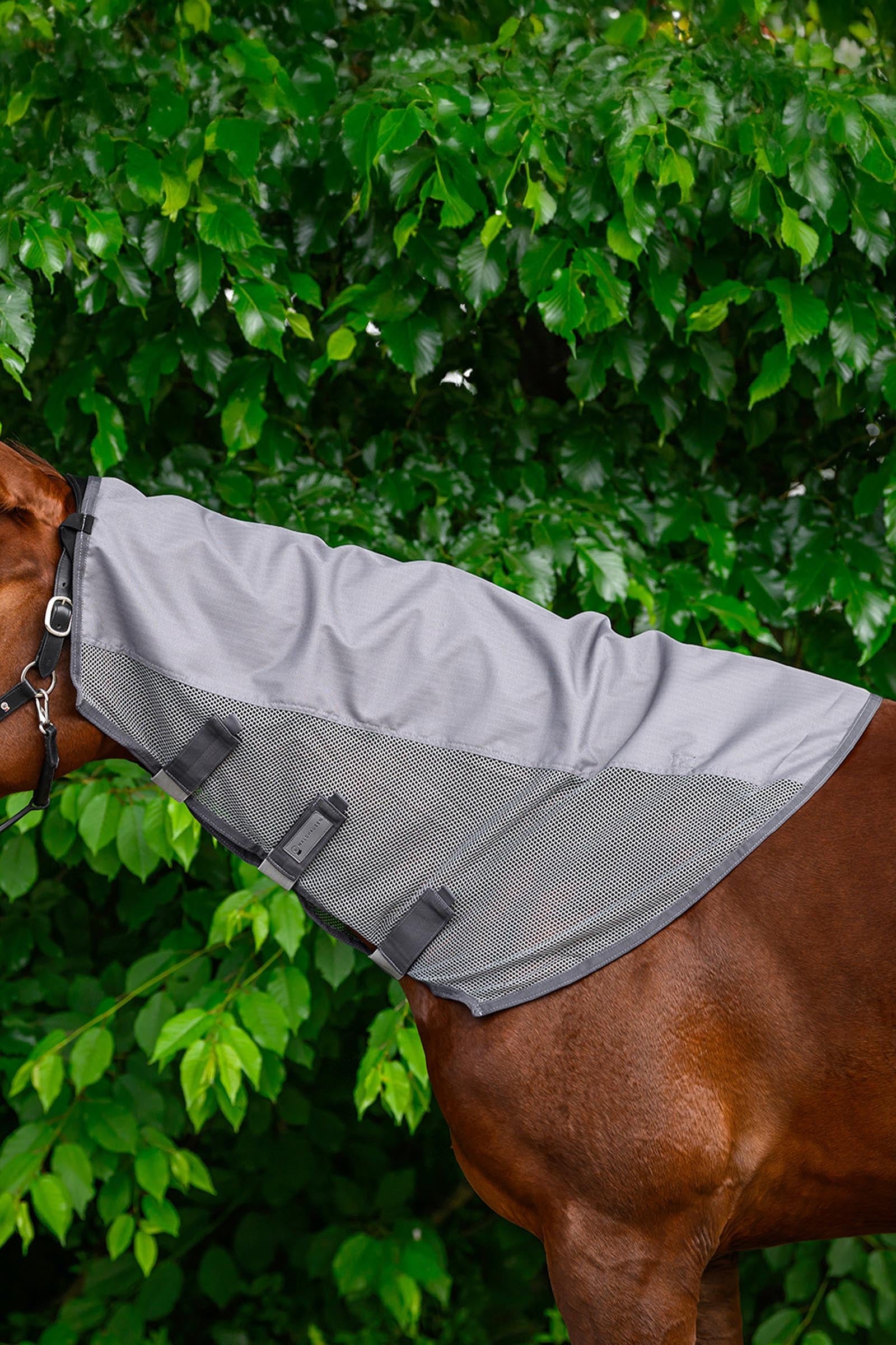 Waldhausen Comfort Rain & Fly Neck Cover Horse Rugs
