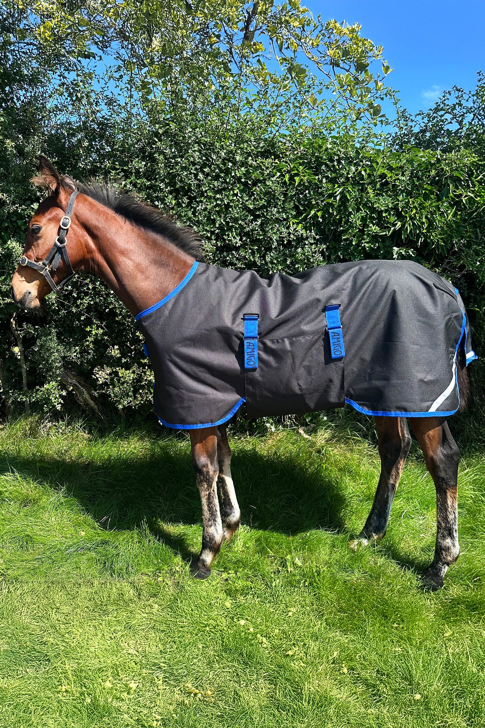 Horseware Amigo Ripstop 900D coperta da paddock per puledri 50g Coperte per cavalli