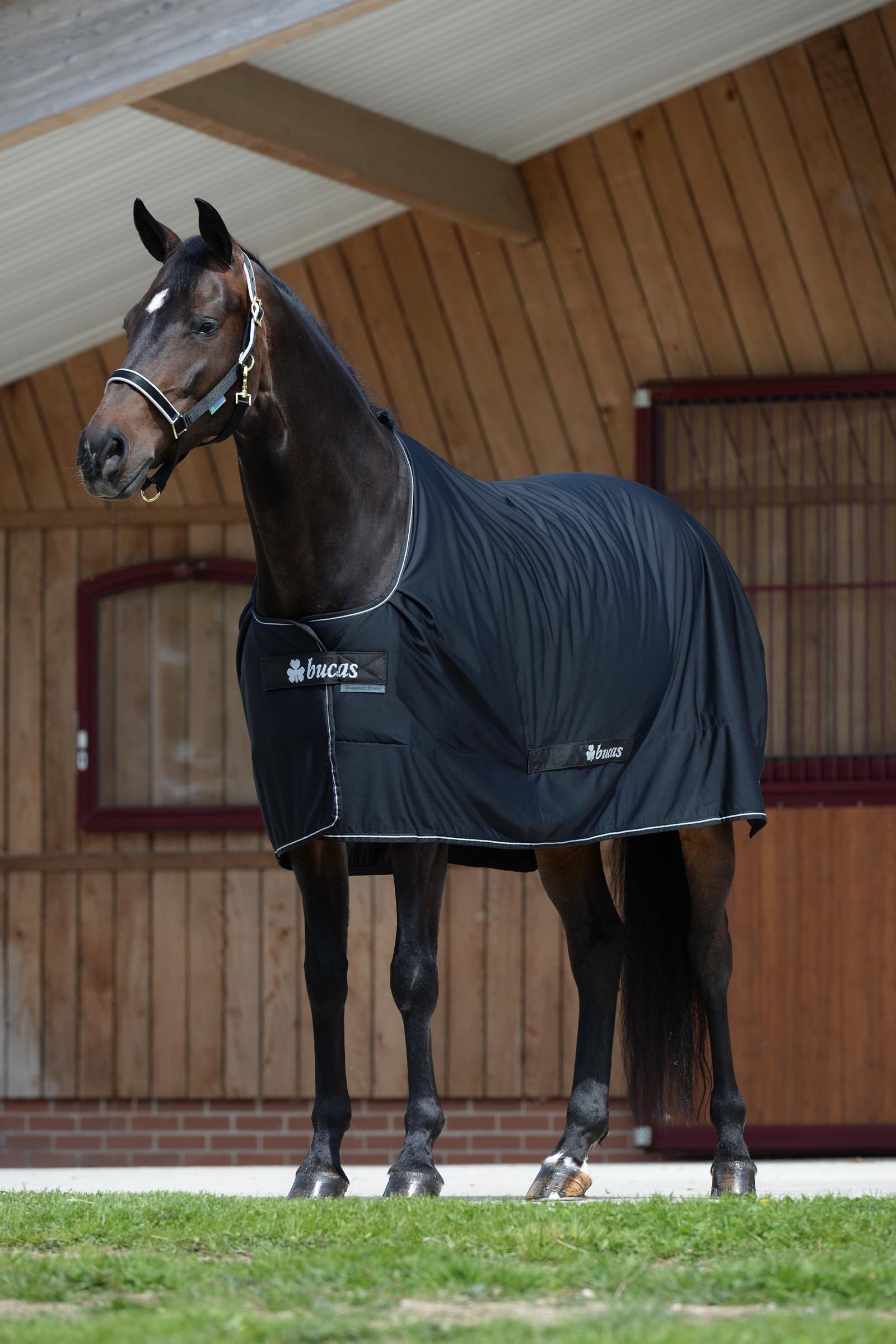 Bucas Shamrock Power Horse Rugs