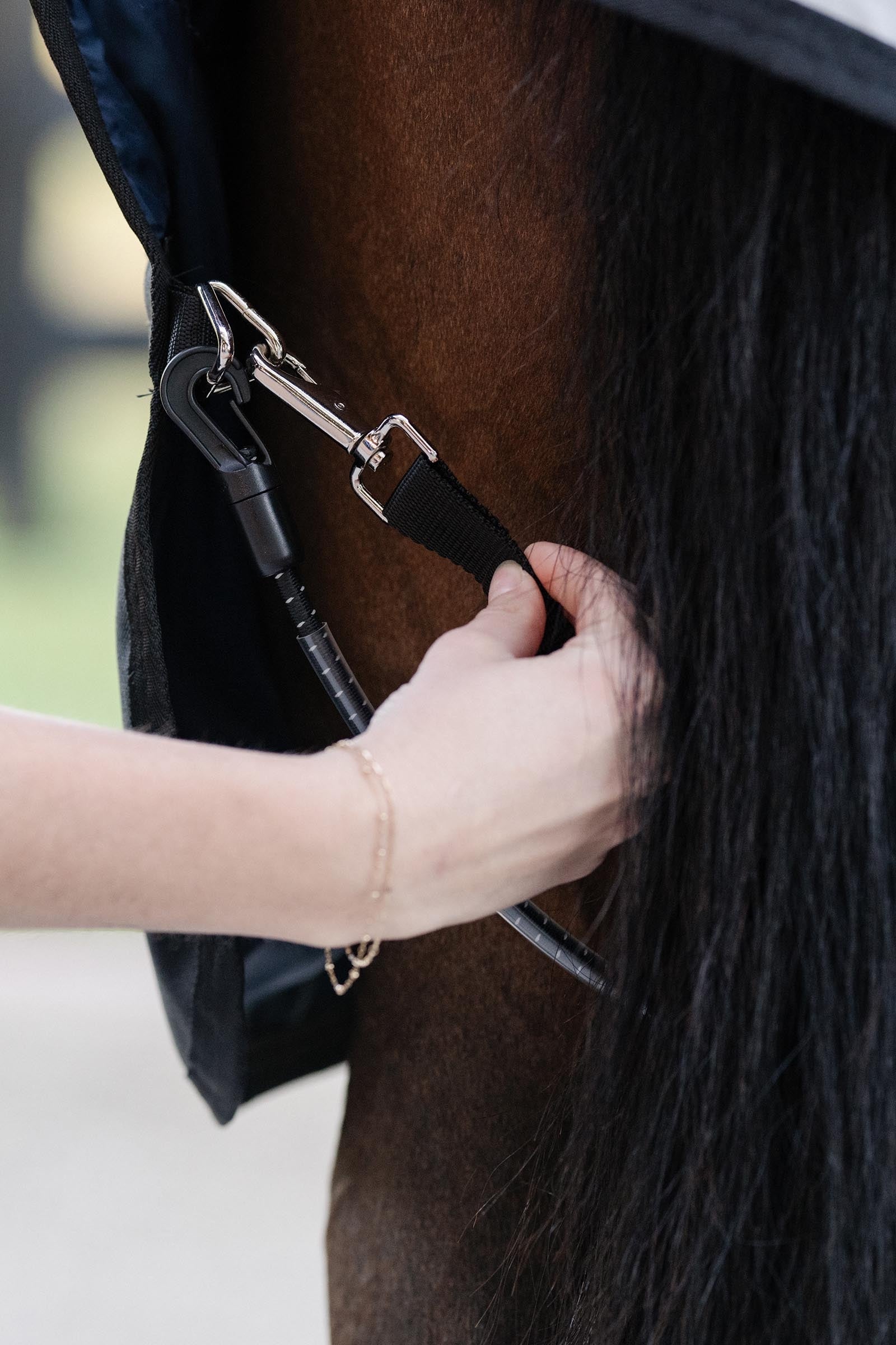 Horseware Elasticated Leg Straps Coperte per cavalli