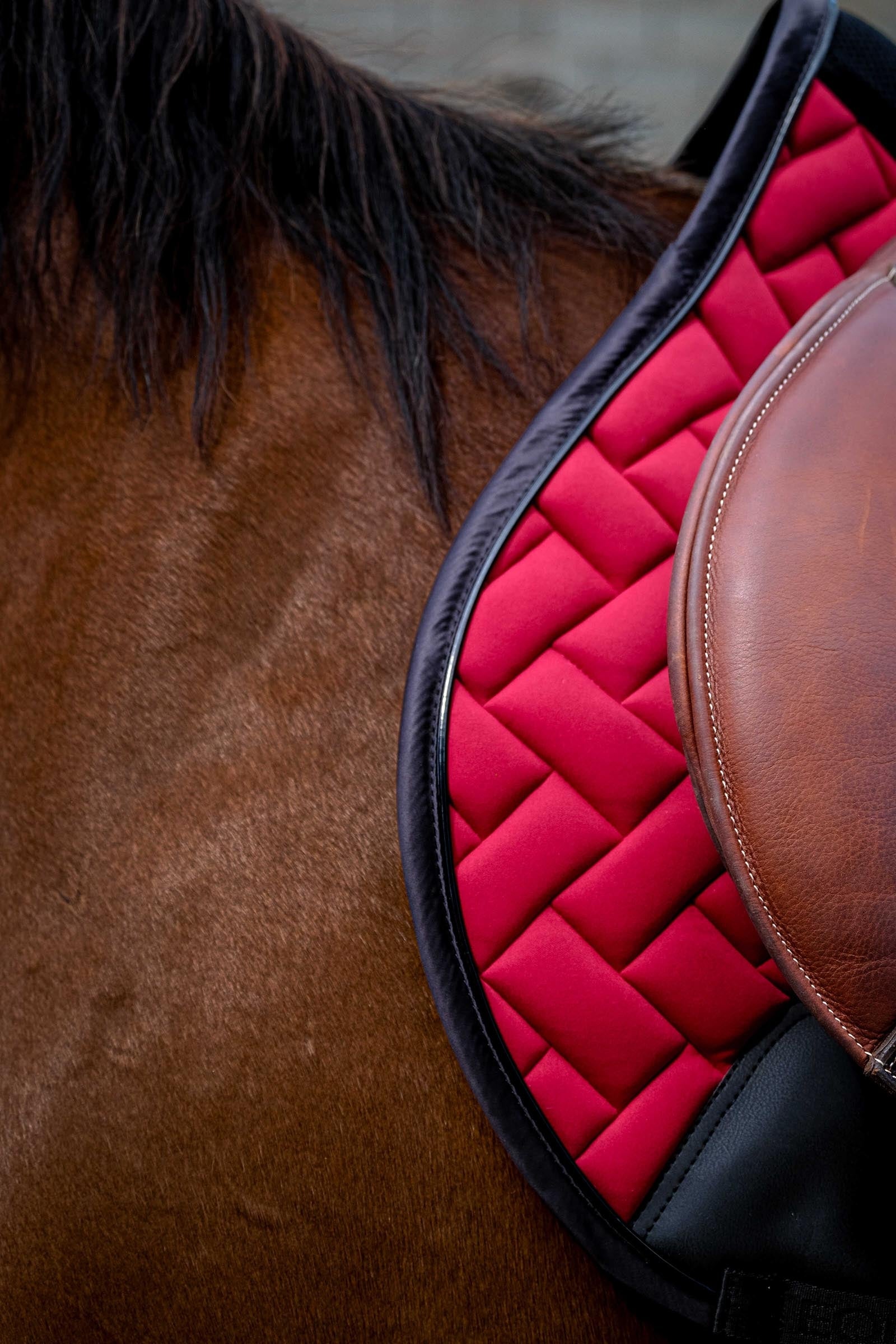Equi Theme EQUITHÈME Impulsion Saddle Pad Saddle Pads