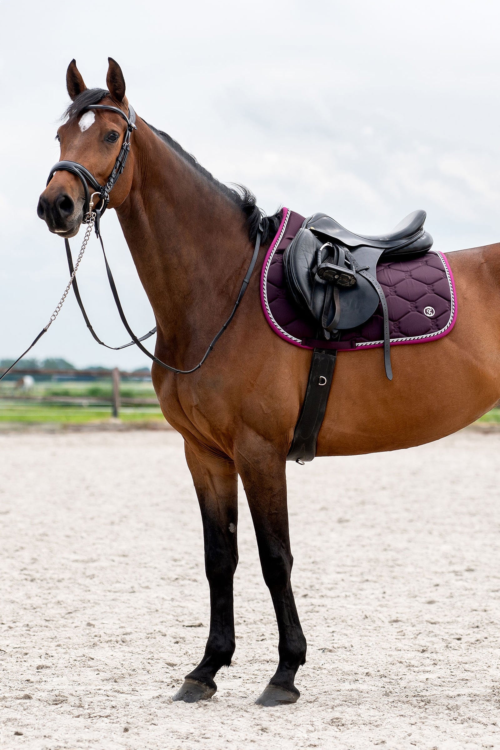PS of Sweden Signature Jumping Saddle Pad Saddle Pads