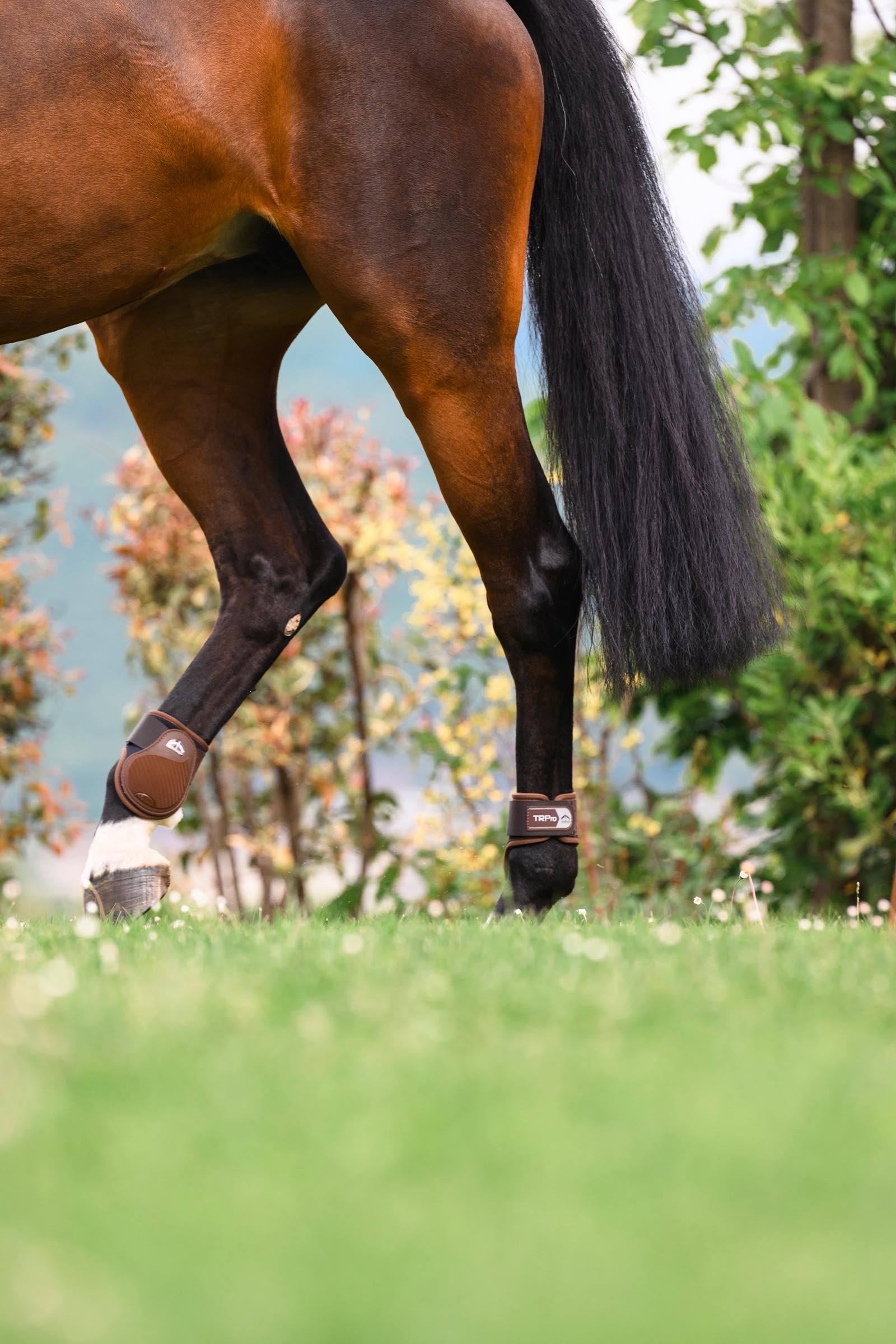 Veredus TR PRO Rear Fetlock Boots Leg & Hoof Protection