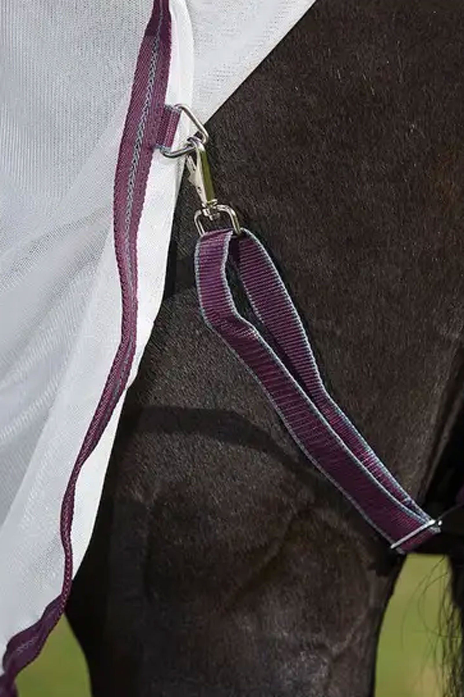 Weatherbeeta Comfitec Essential Mesh II Fly Rug with Fixed Neck Horse Rugs