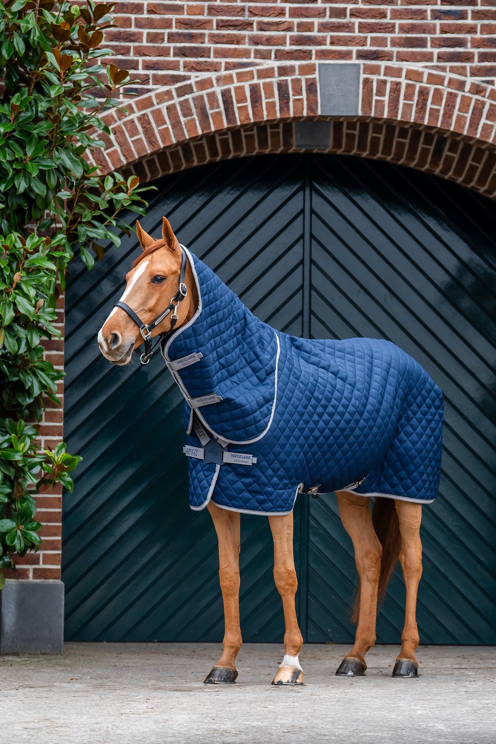 Horseware Amigo coperta da box trapuntata Plus, 200 g Coperte per cavalli