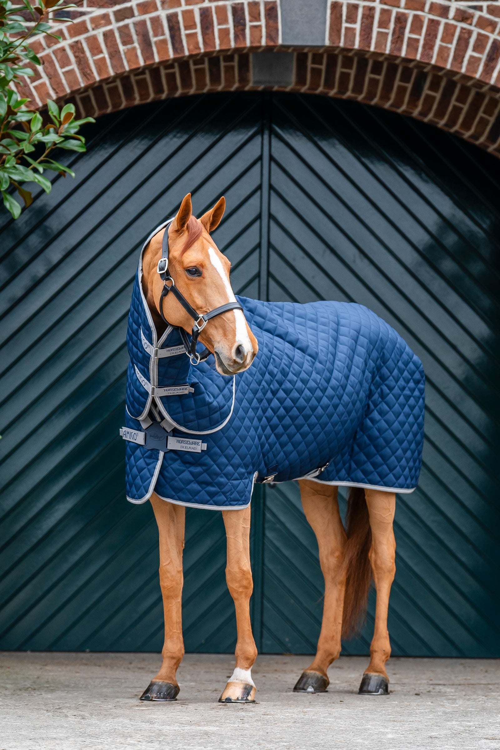 Horseware Amigo Quilted Stable Plus Rug, 200 g Horse Rugs