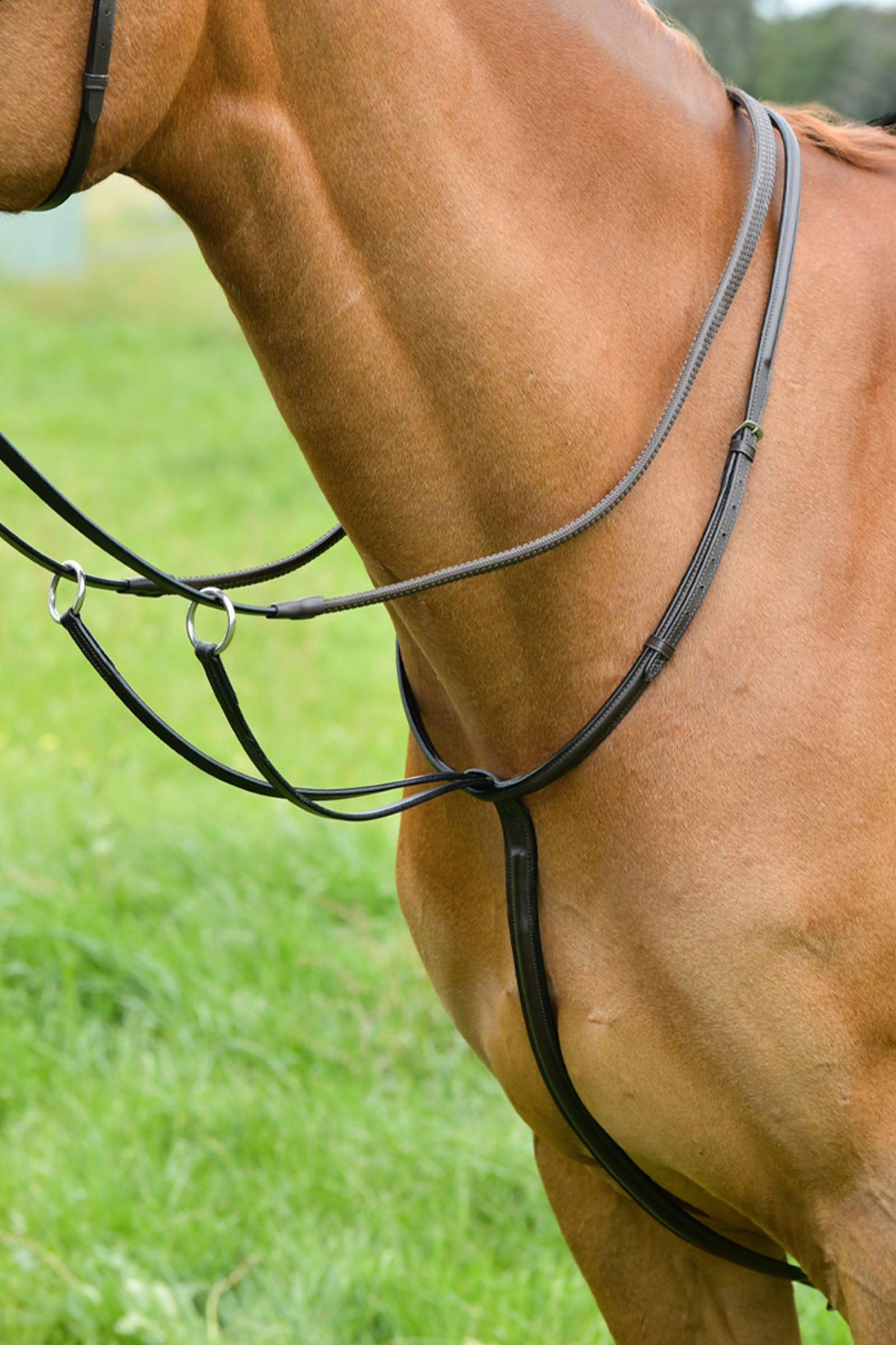 Kincade martingala scorrevole classica con cucitura in rilievo Briglie & redini