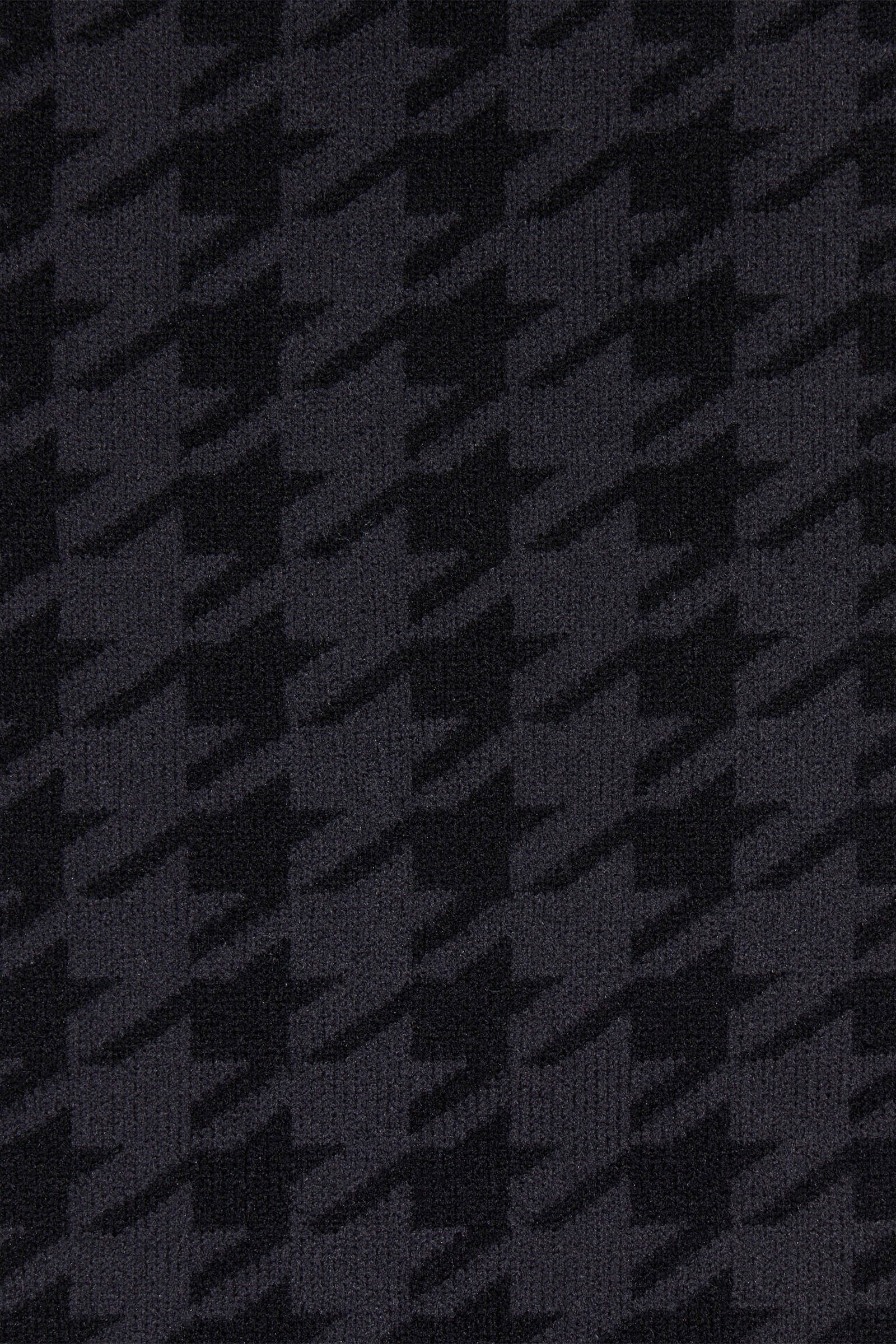 LeMieux Aspen Socks Socks