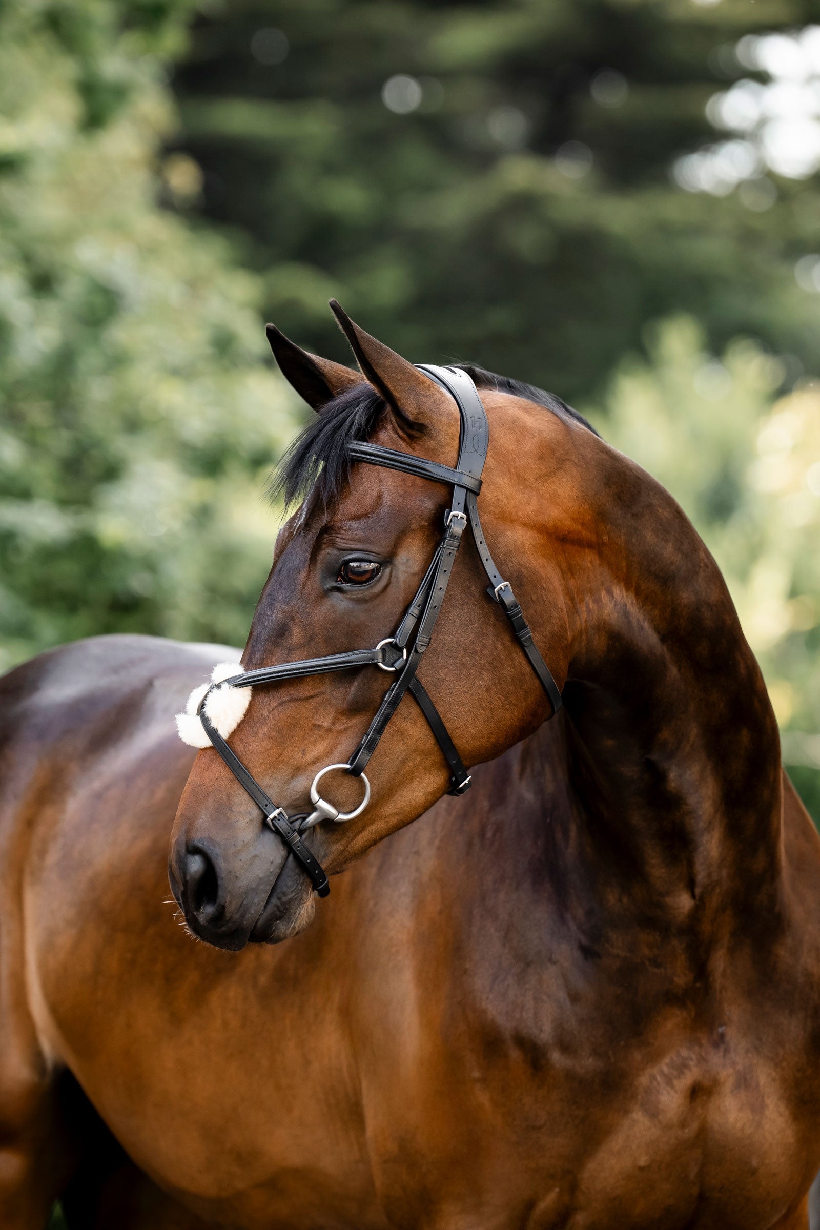 Horseware briglia con capezzina a otto Briglie & redini