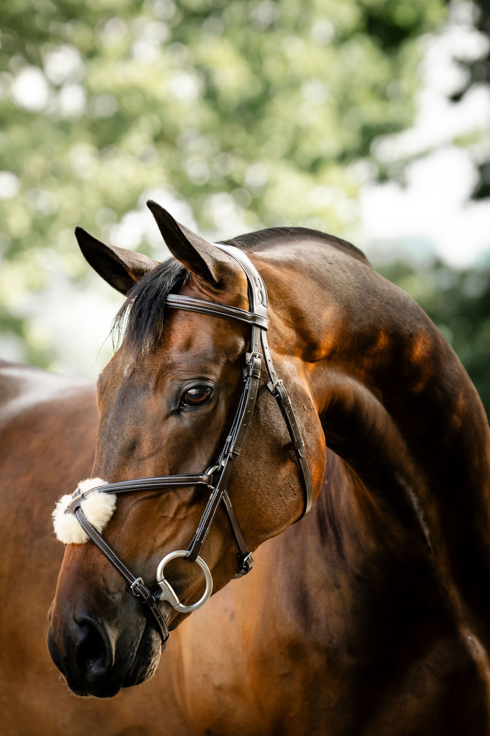 Horseware briglia con capezzina a otto Briglie & redini