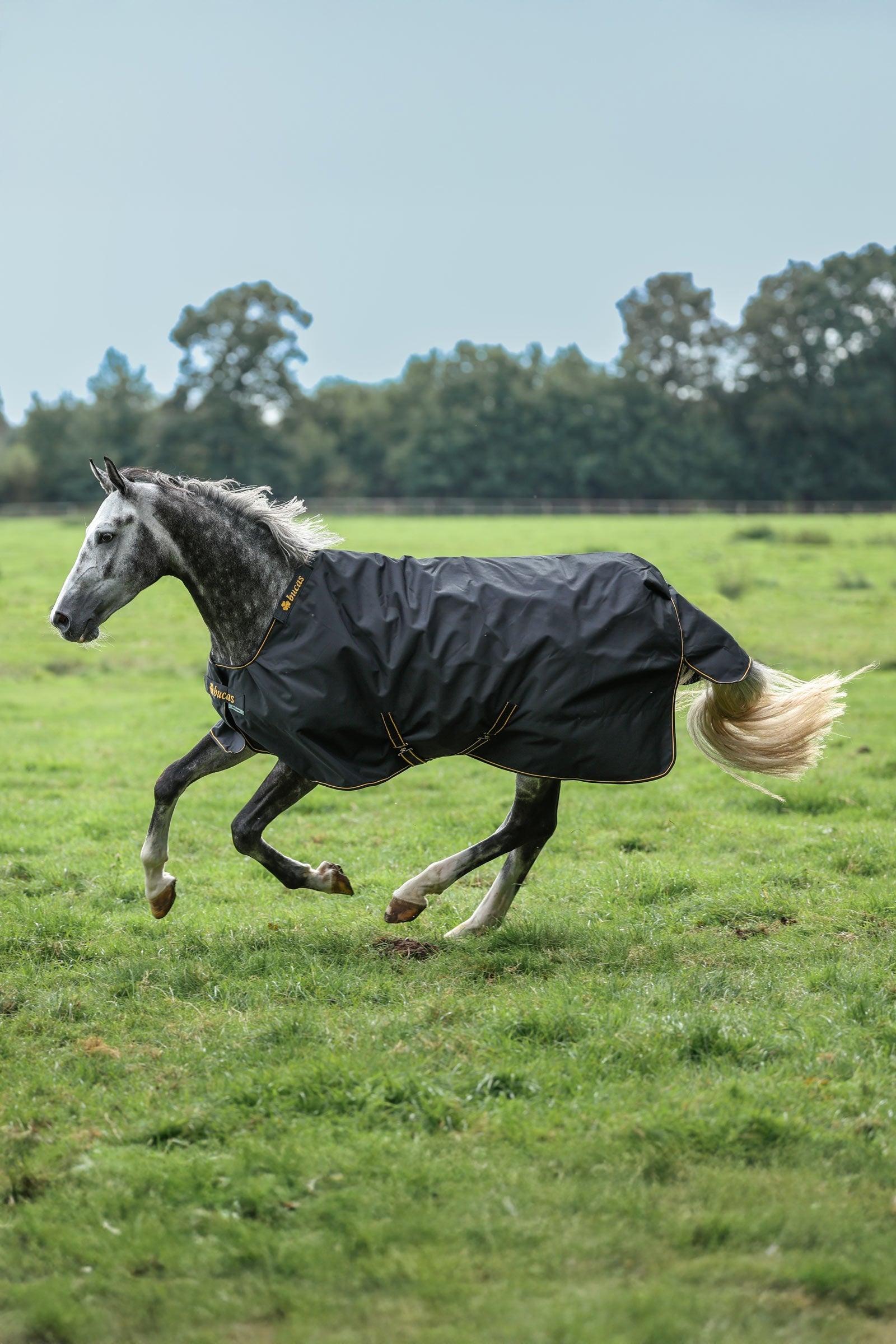 Bucas Irish coperta da paddock, 100 g Coperte per cavalli