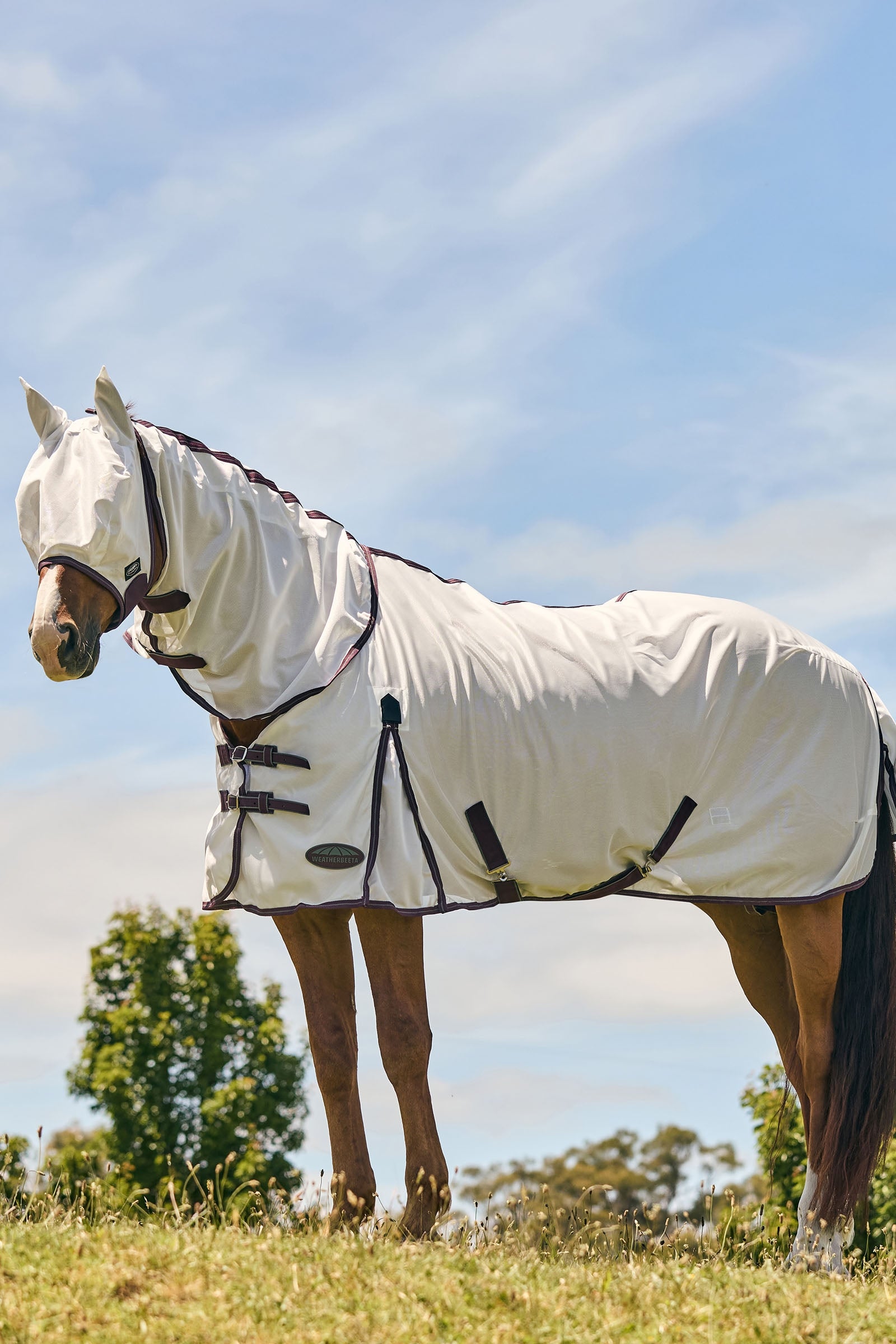 Weatherbeeta Comfitec Essential Mesh Mask Antifly Protection for Horses