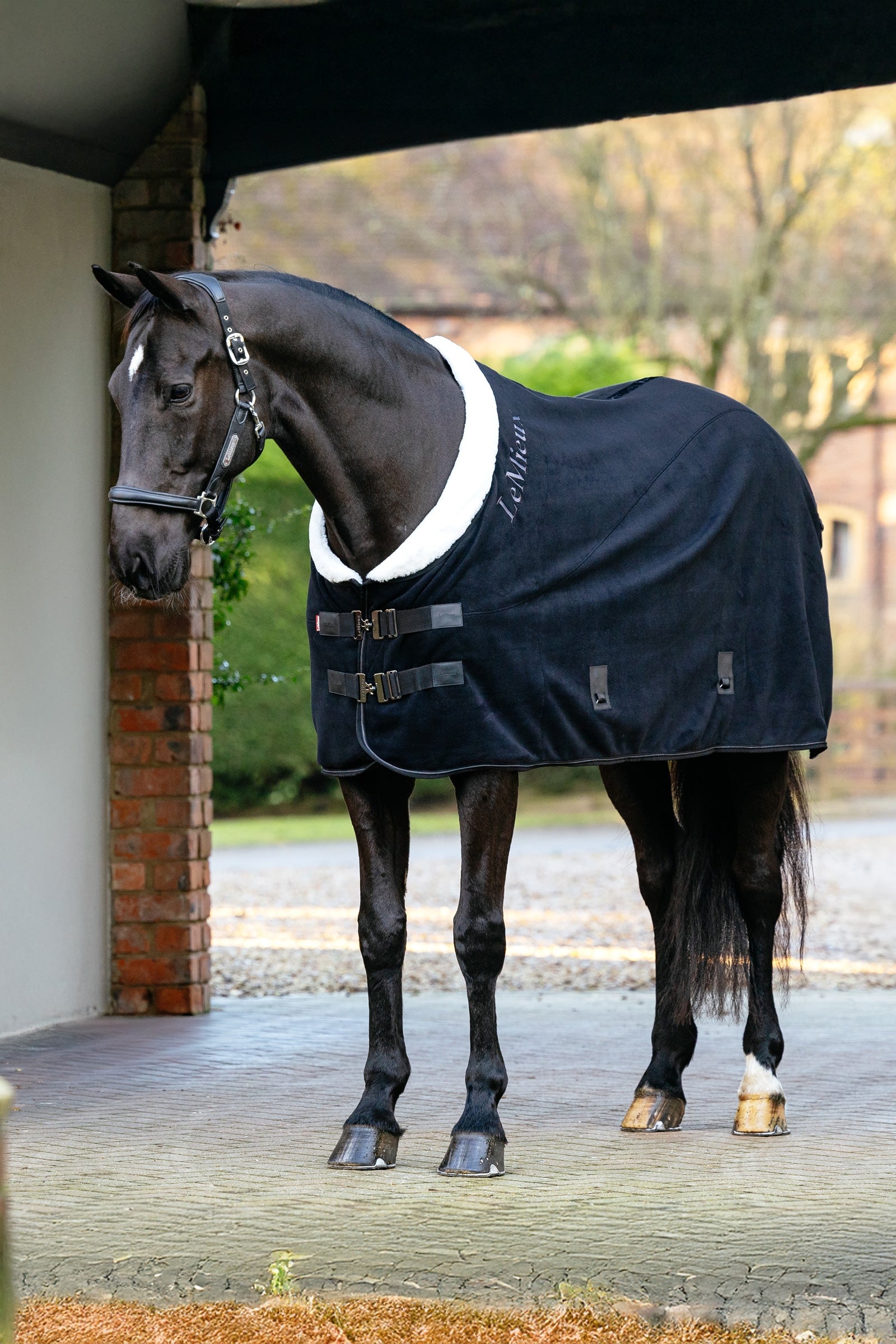 LeMieux Kudos Luxe Fleece Rug Coperte per cavalli