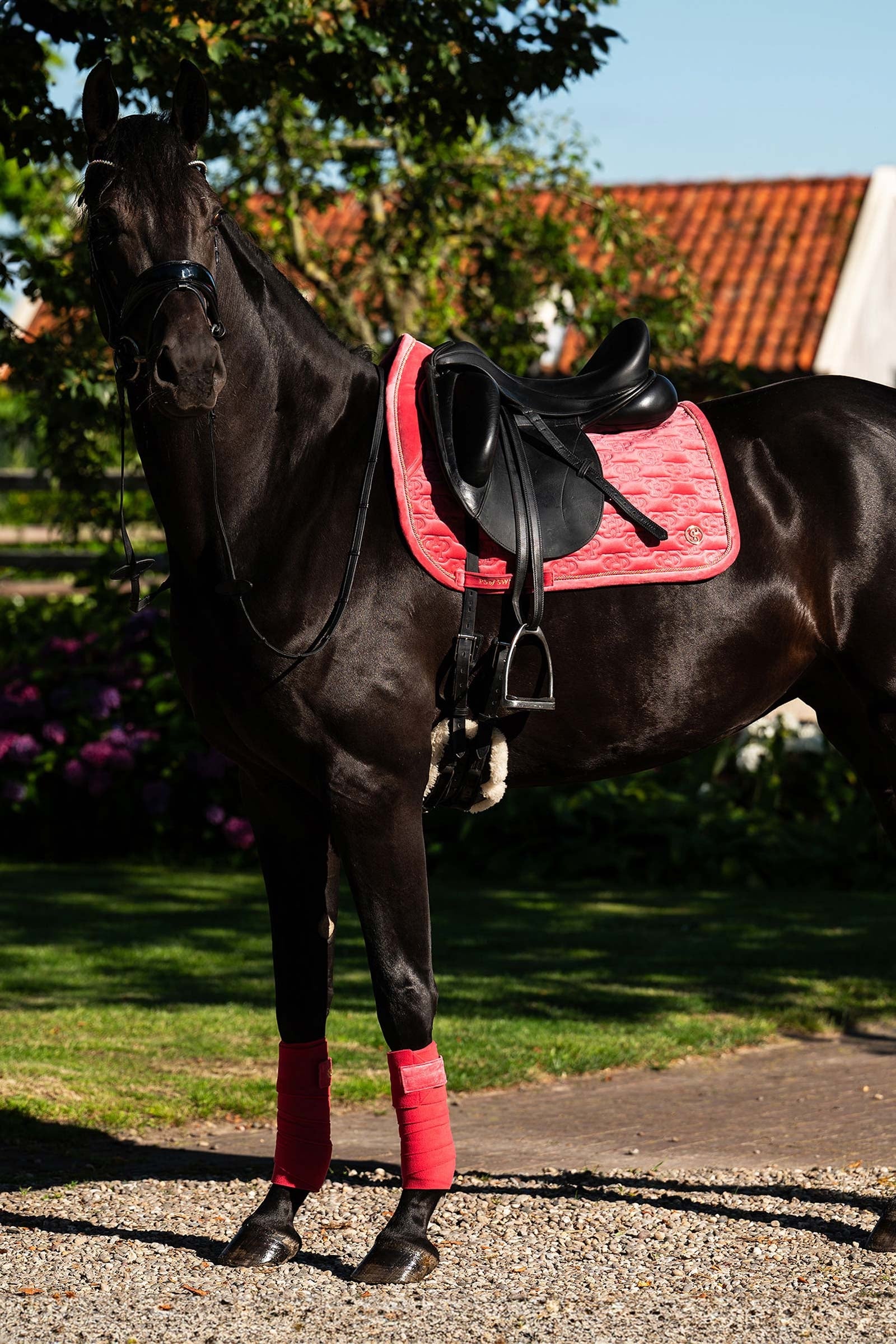 PS of Sweden Saddle Pad Velvet Monogram Dressage Saddle Pads
