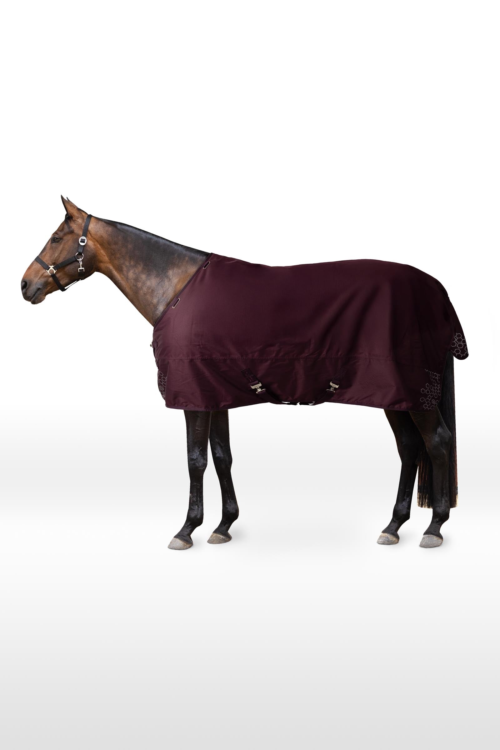 Horze Newbridge coperta da paddock riflettente, 200 g Coperte per cavalli