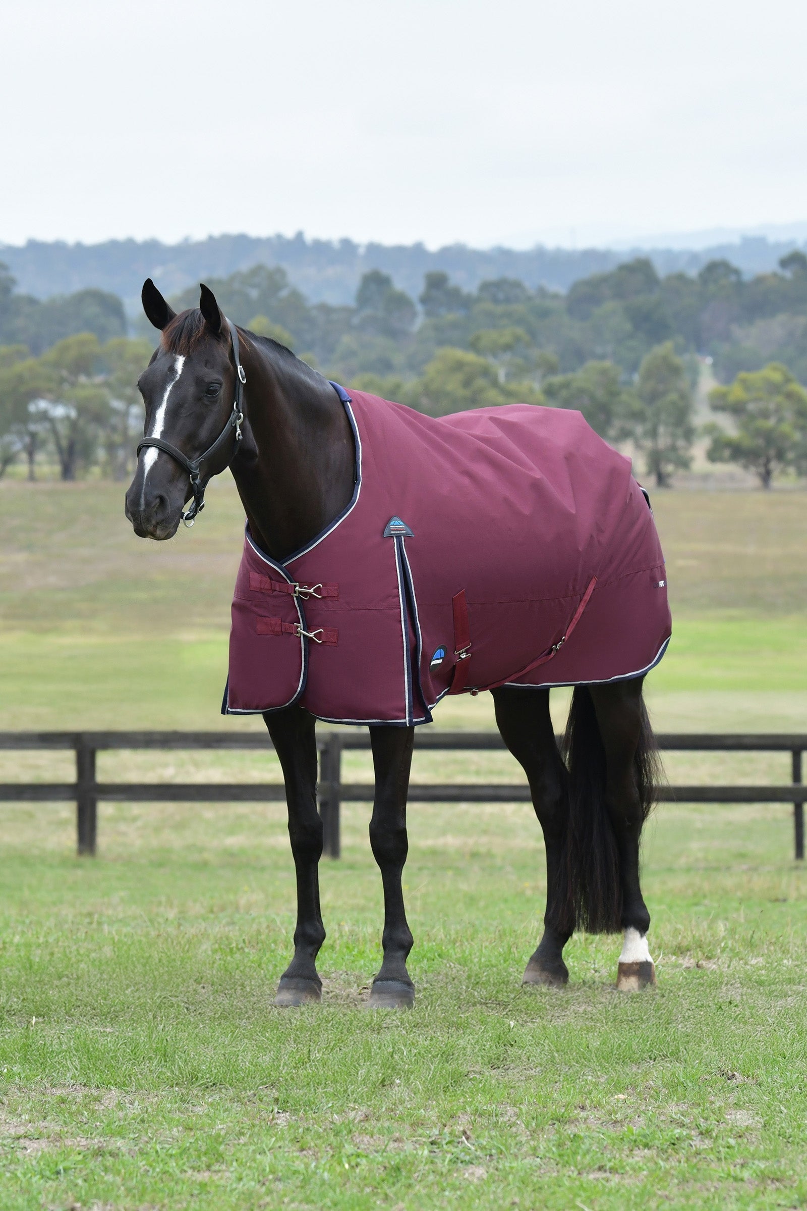 Weatherbeeta ComFiTec Essential Turnout Rug, 0 g Coperte per cavalli