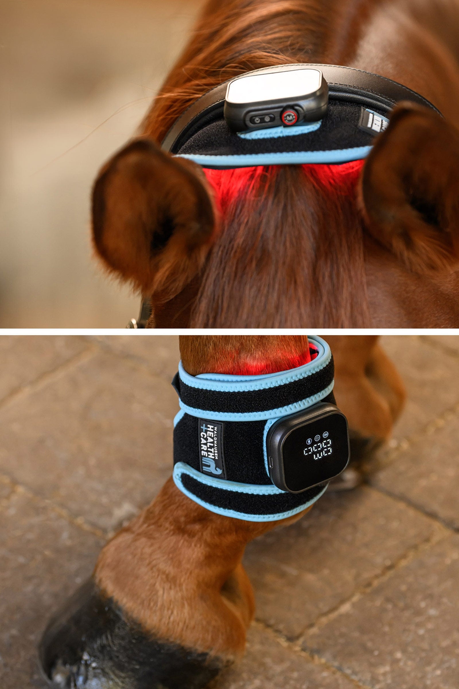 Waldhausen Health + Care FlexPad infrarosso Leg Protection & Hoof Protection for Horses