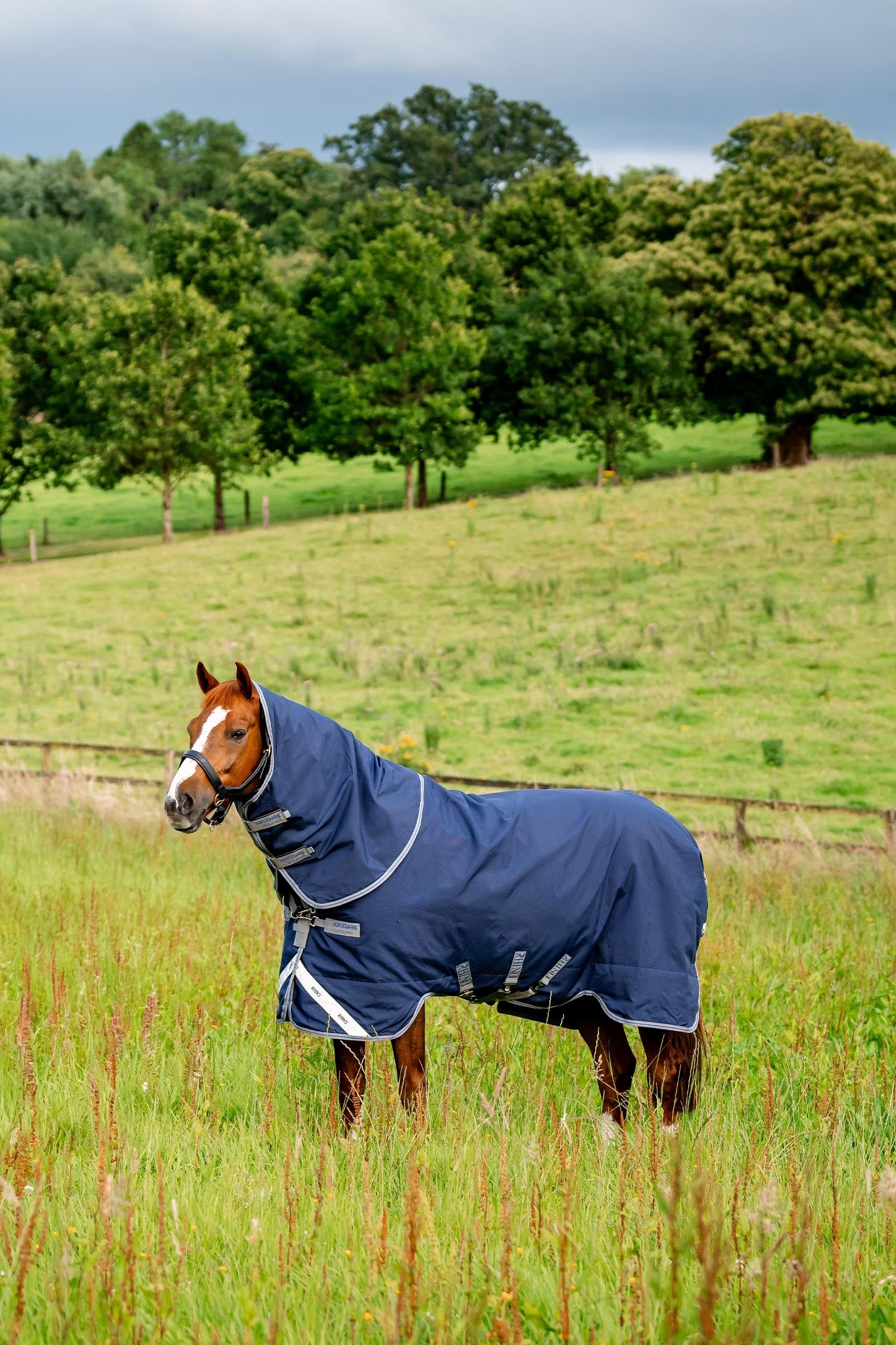 Horseware Rhino Plus Vari-Layer Turnout Rug With Detachable Neck, 250g Horse Rugs