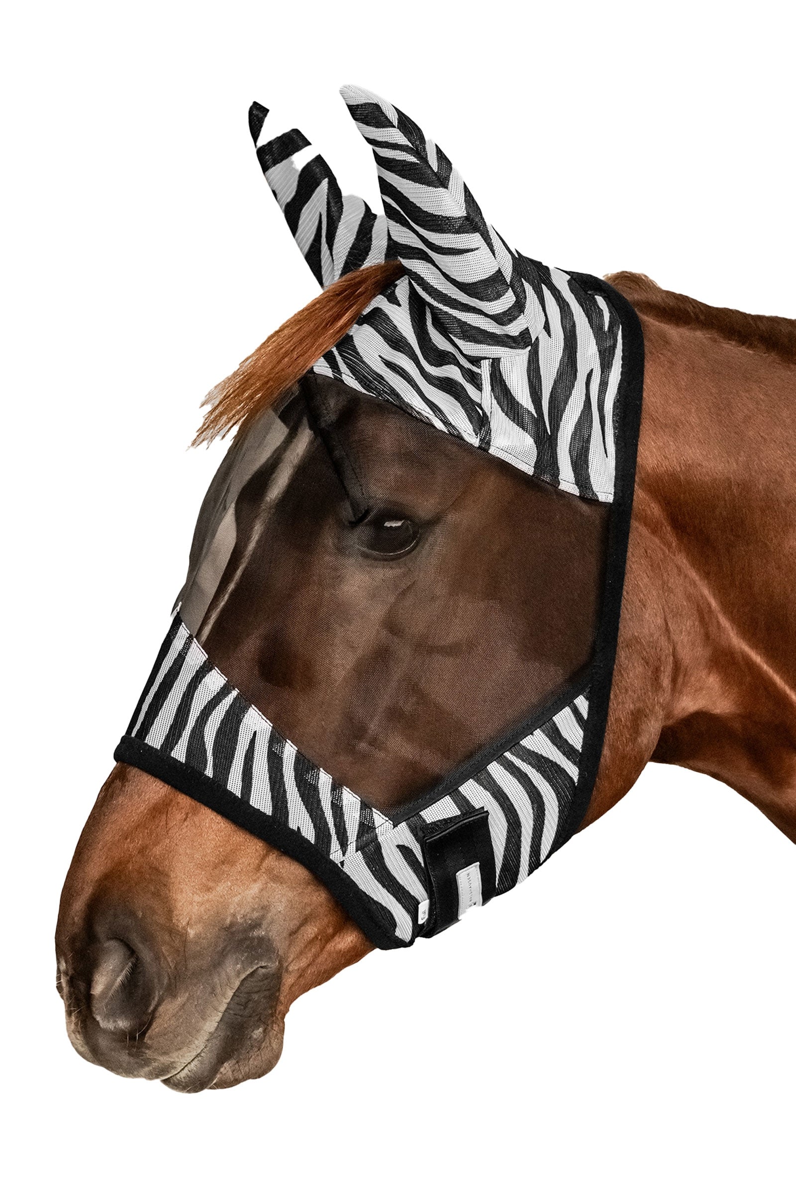 Waldhausen Zebra maschera antimosche con protezione UV Protezione antimosche per cavalli