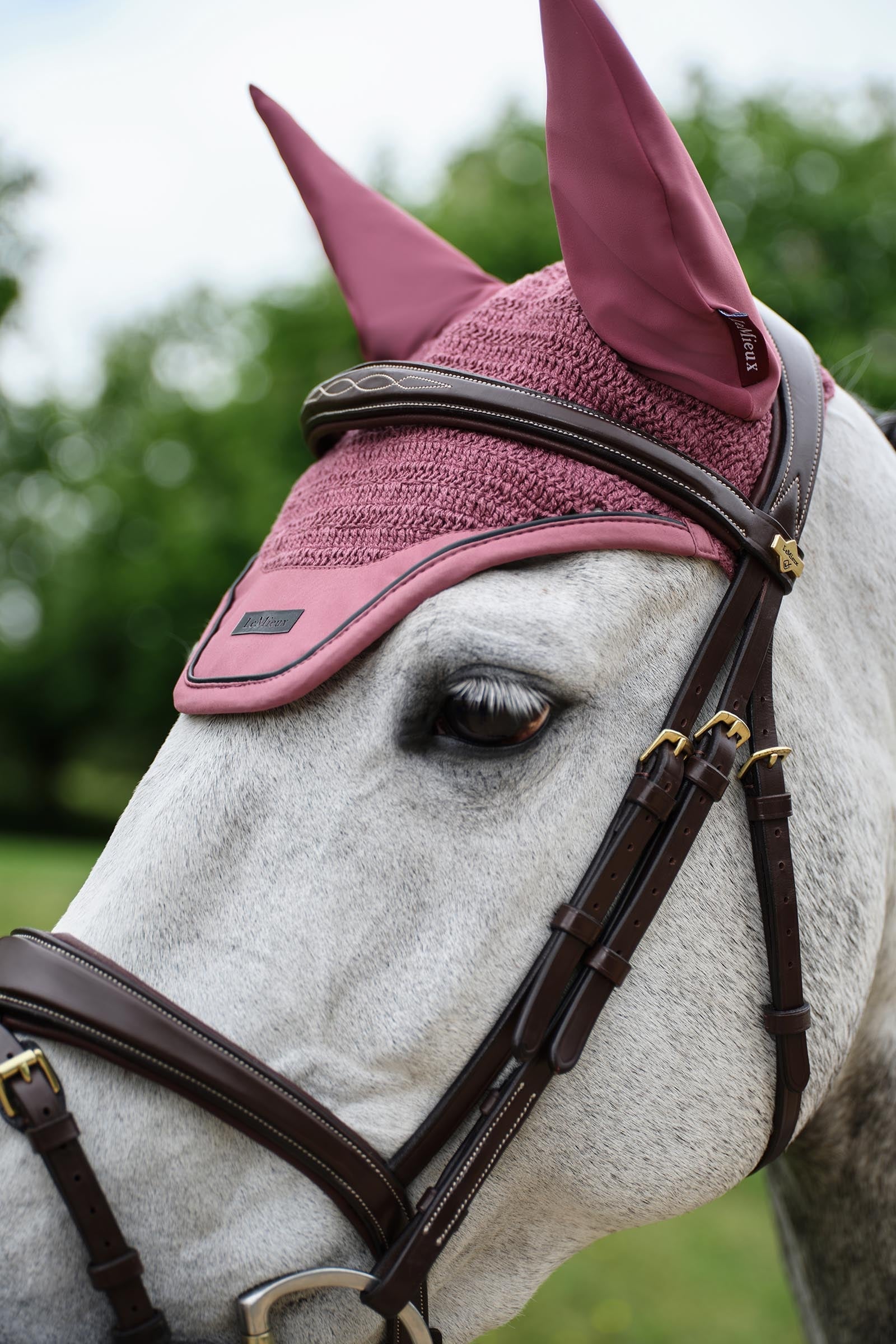 LeMieux Essence Fly Hood Antifly Protection for Horses