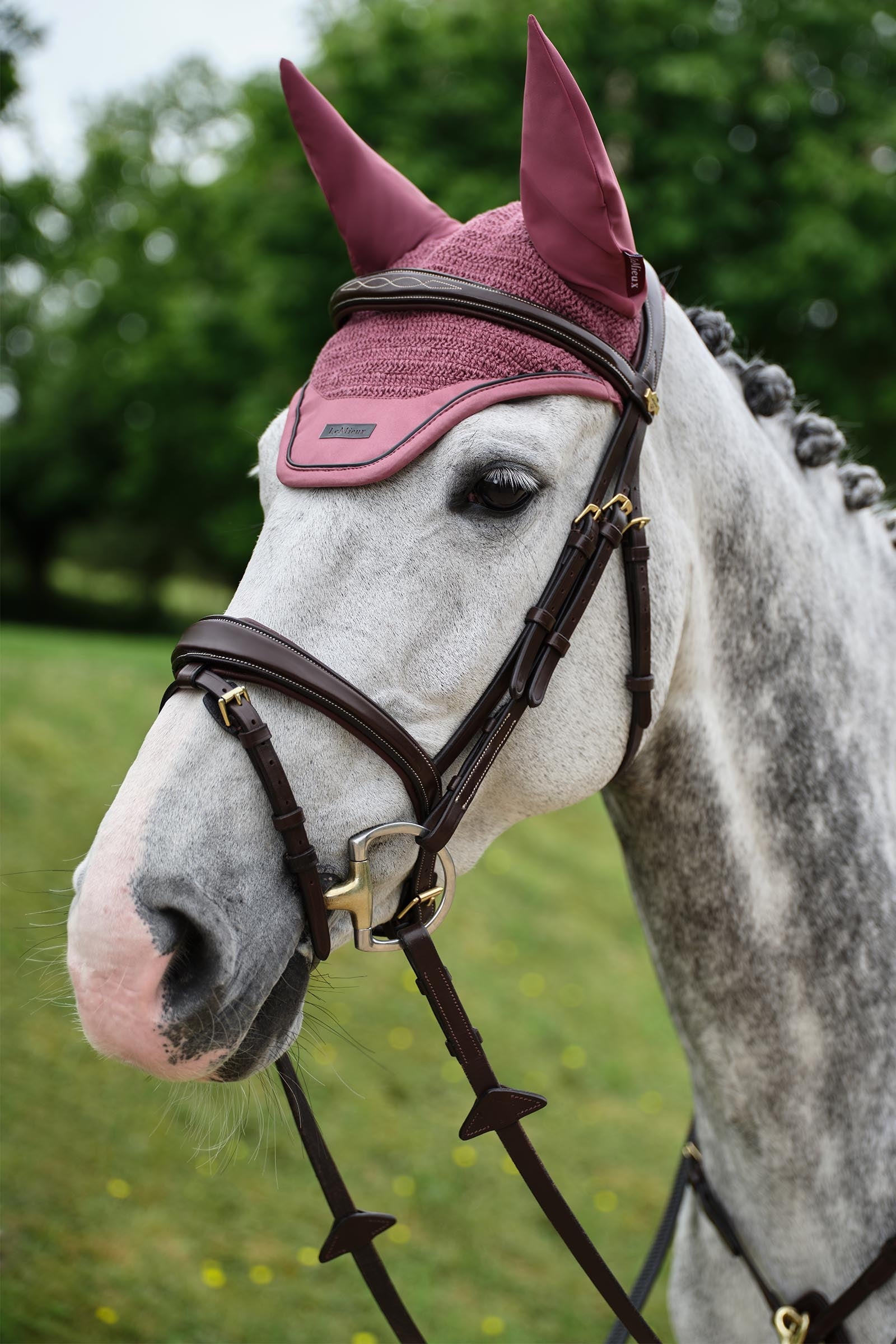 LeMieux Essence Fly Hood Antifly Protection for Horses