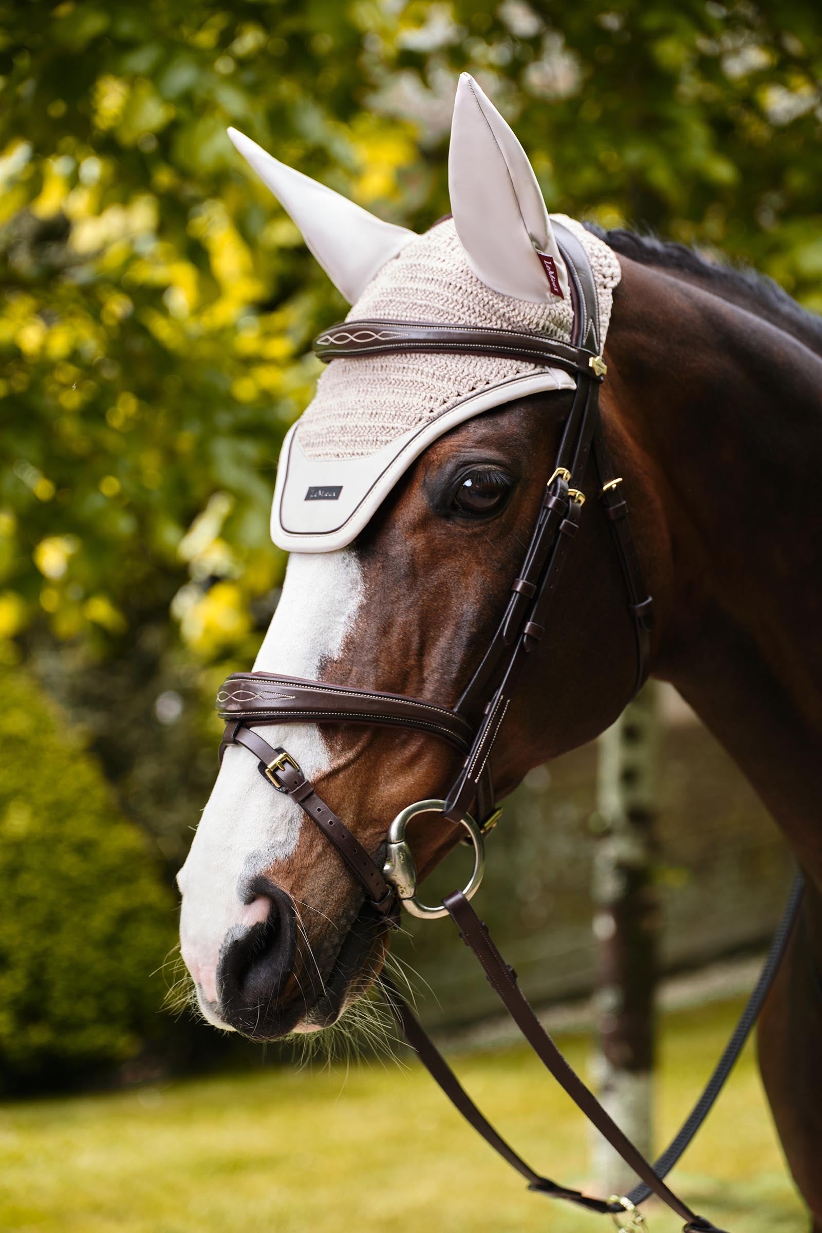 LeMieux Essence Fly Hood Antifly Protection for Horses