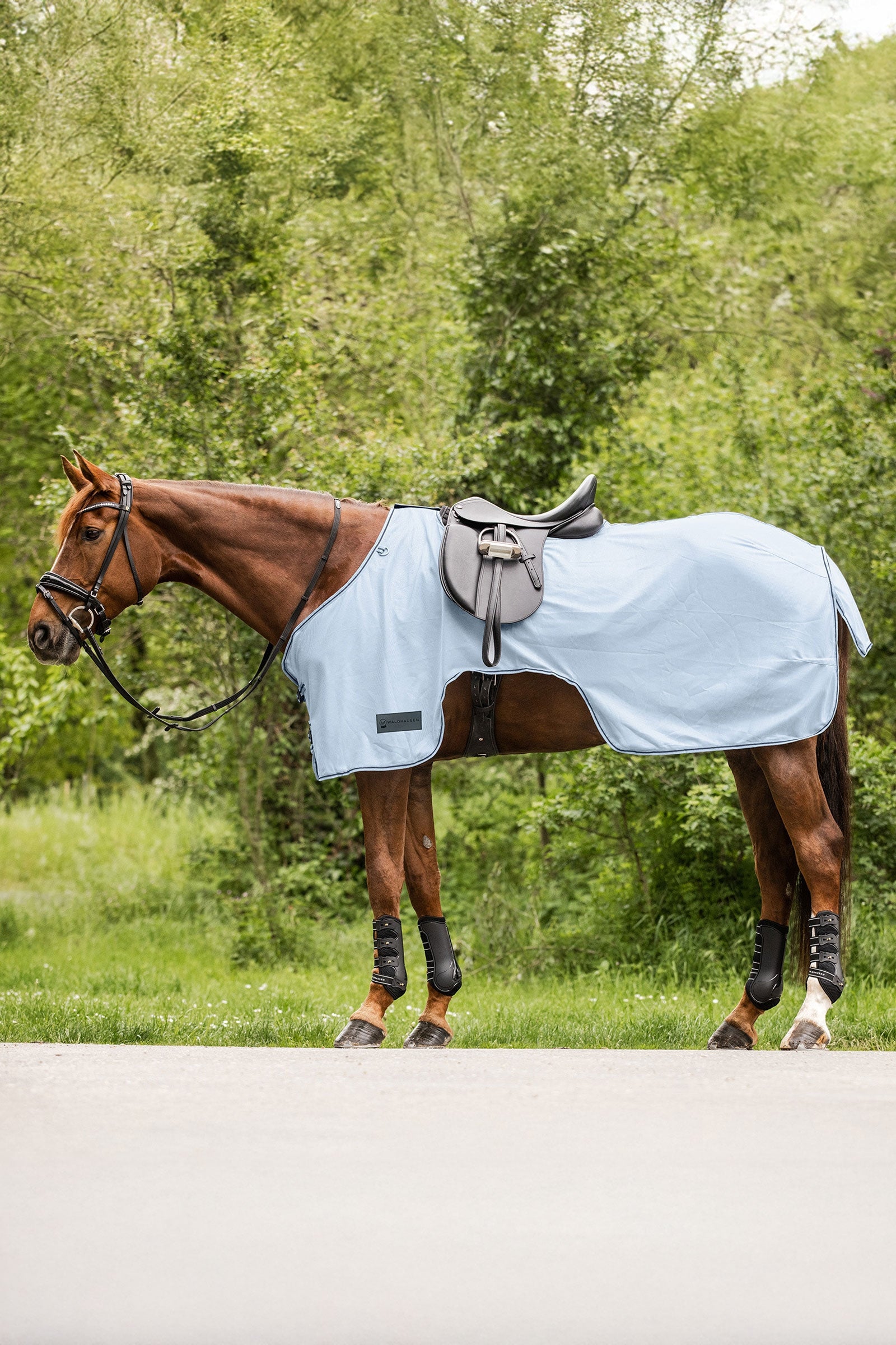 Waldhausen Protect coperta antimosche da allenamento Coperte per cavalli