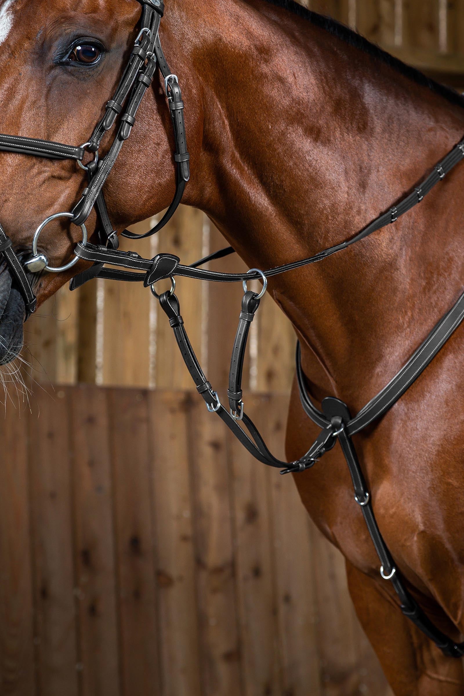 Dy'on Working forchetta martingala Briglie & redini