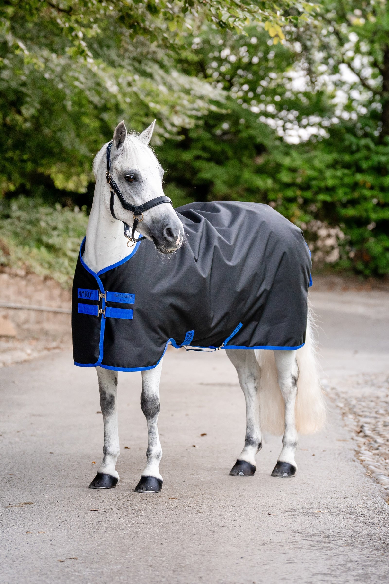 Horseware coperta da paddock Amigo Ripstop 900D, 200 g Coperte per cavalli