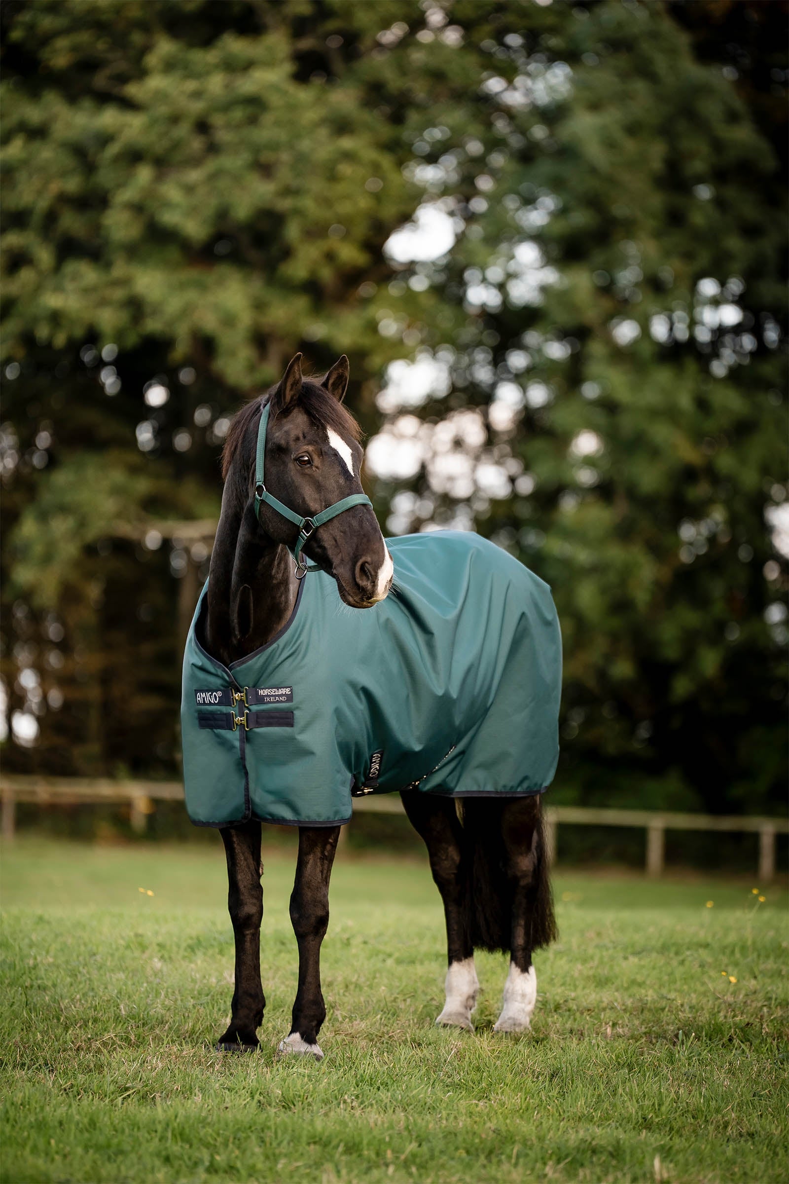 Horseware coperta da paddock Amigo Ripstop 900D, 200 g Coperte per cavalli