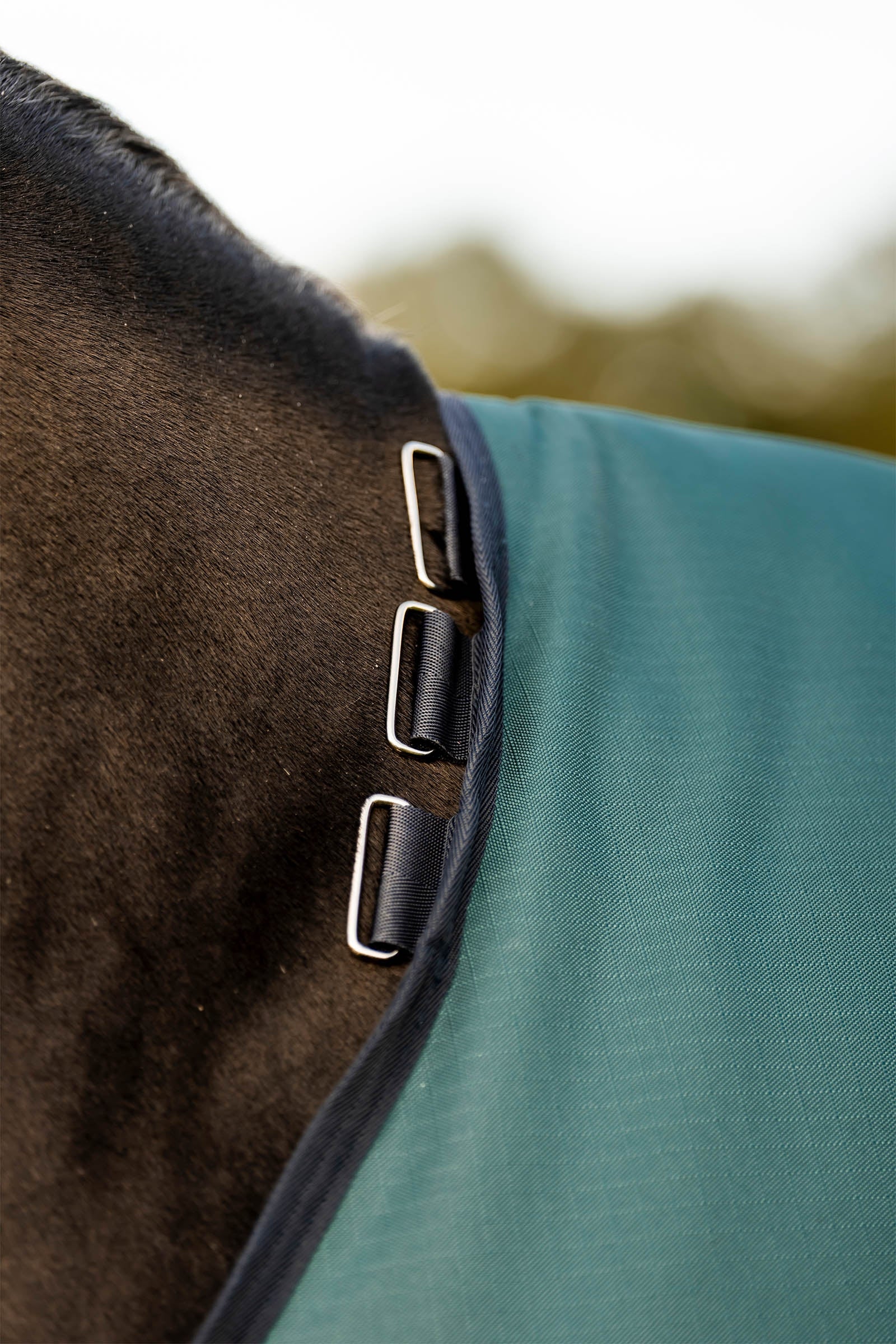 Horseware Amigo Ripstop 900D Turnout Rug, 200 g Horse Rugs