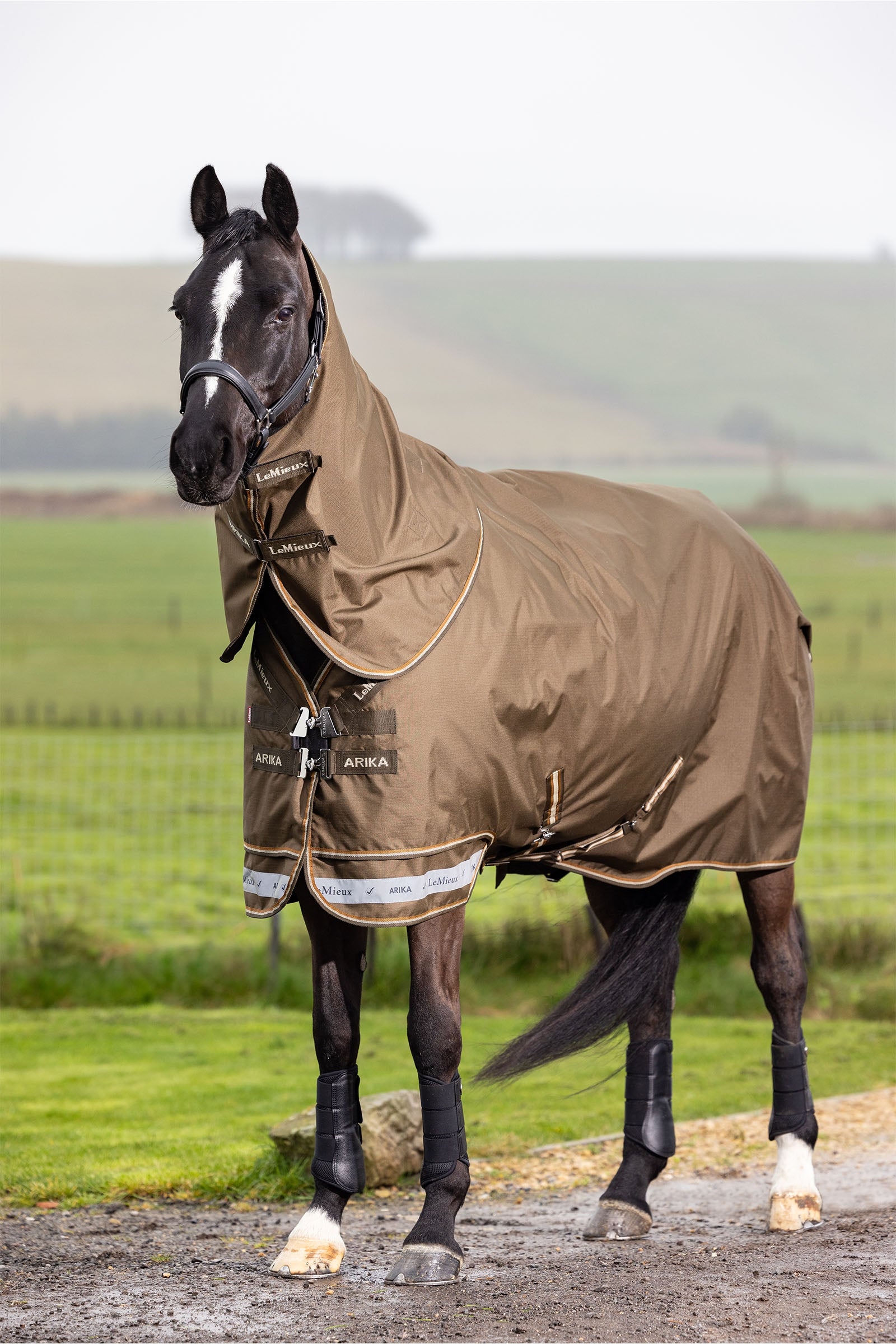 LeMieux Arika Ripstop Turnout Rug With Detachable Neck, 200 g Horse Rugs