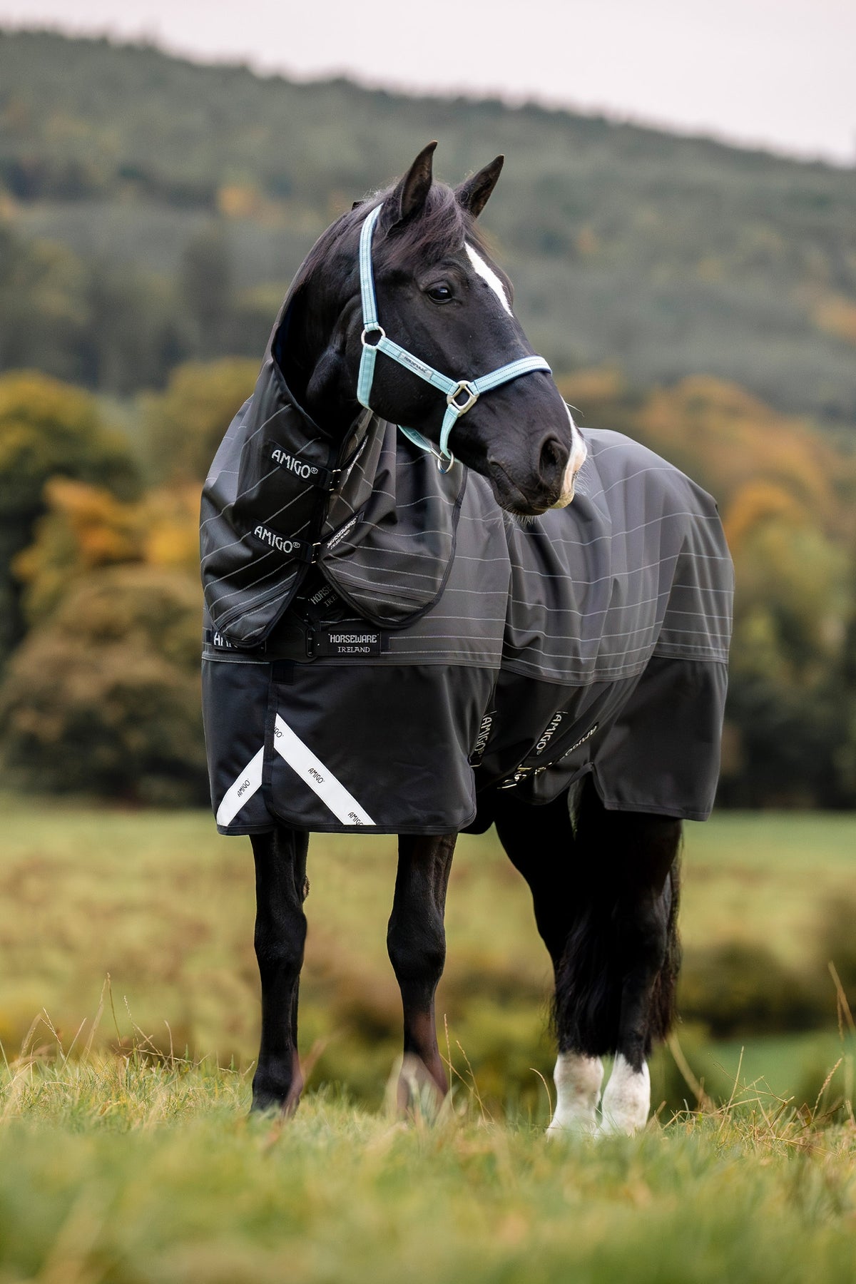 Horseware Amigo 1200D FieldSafe Reflectech Plus coperta da paddock con copricollo staccabile, 0 g Coperte per cavalli