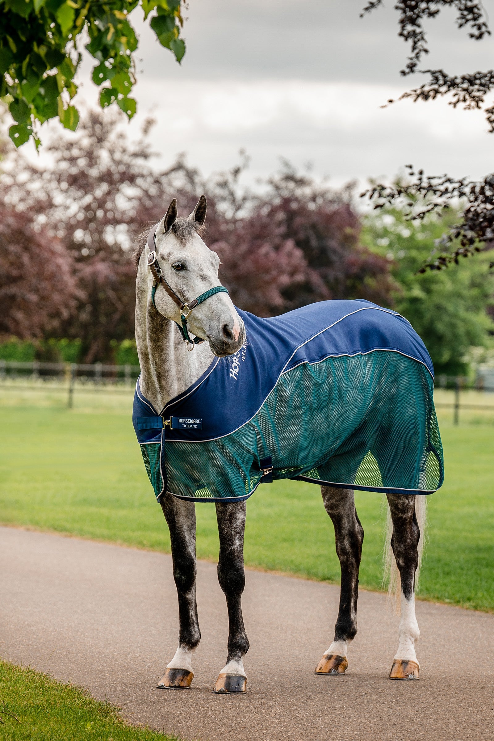 Horseware Coperta Signature Sport per asciugatura Coperte per cavalli