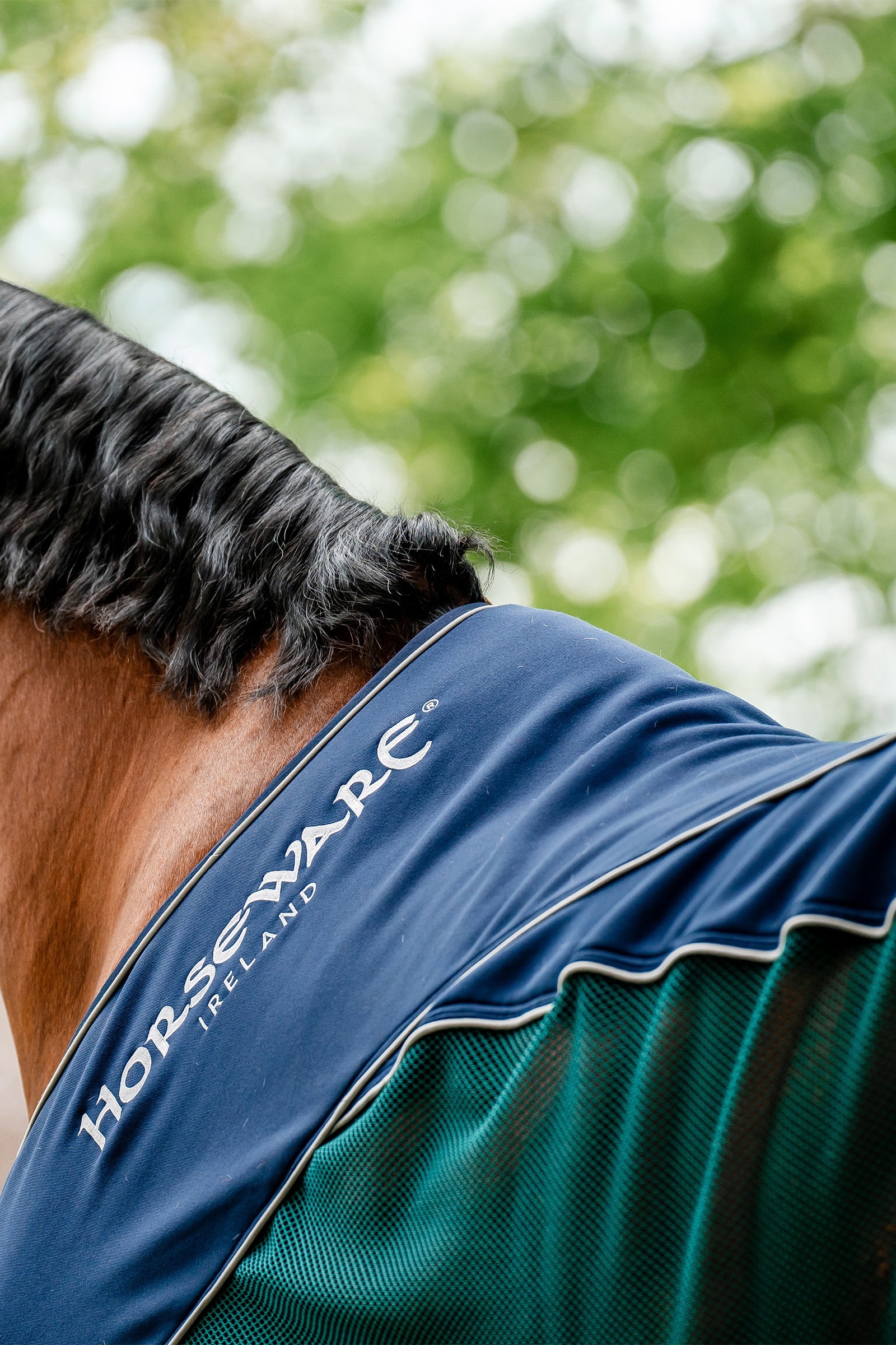 Horseware Signature Sport Cooler Horse Rugs