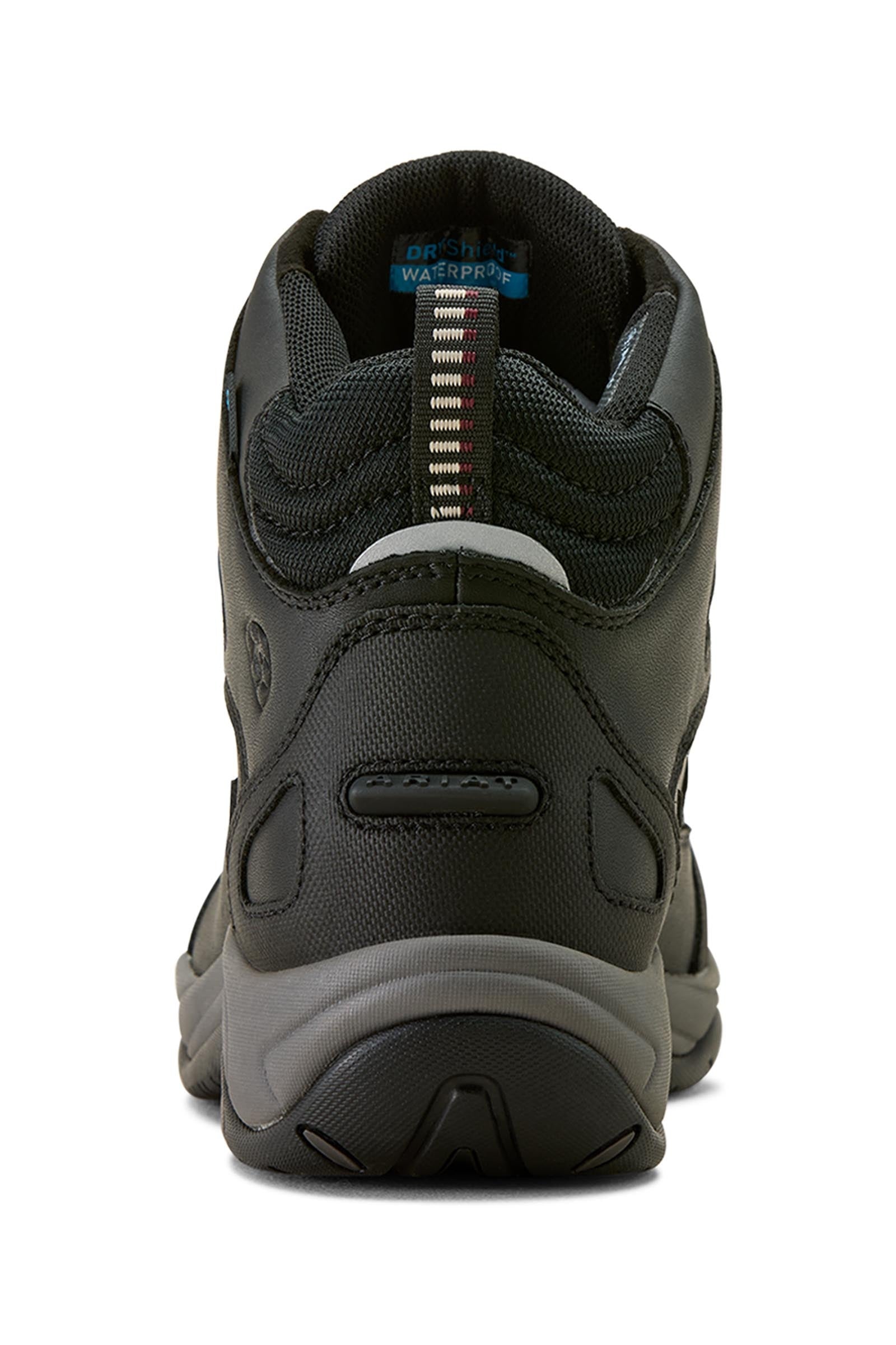 Ariat Telluride II H20 Women's Half Boots Riding Boots & Riding Shoes