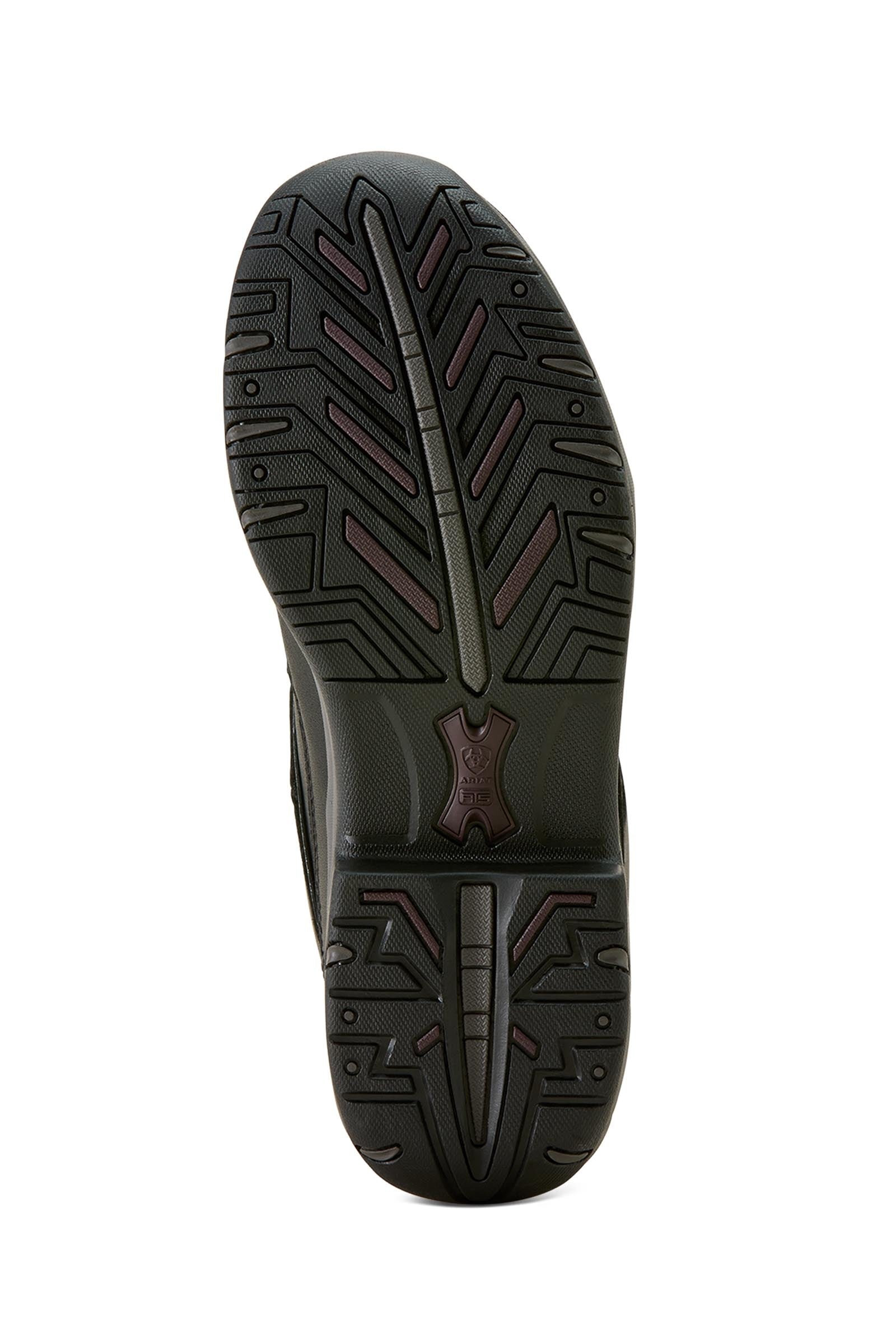 Ariat Telluride II H20 Women's Half Boots Riding Boots & Riding Shoes