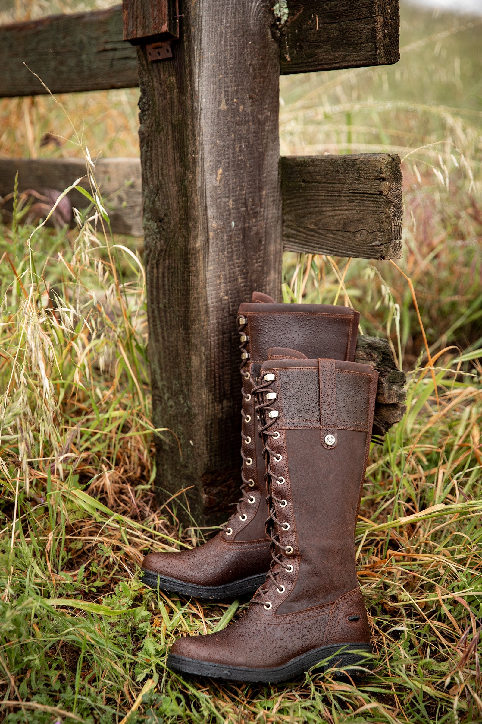 Ariat Women's Wythburn Waterproof Boot Riding Boots & Riding Shoes