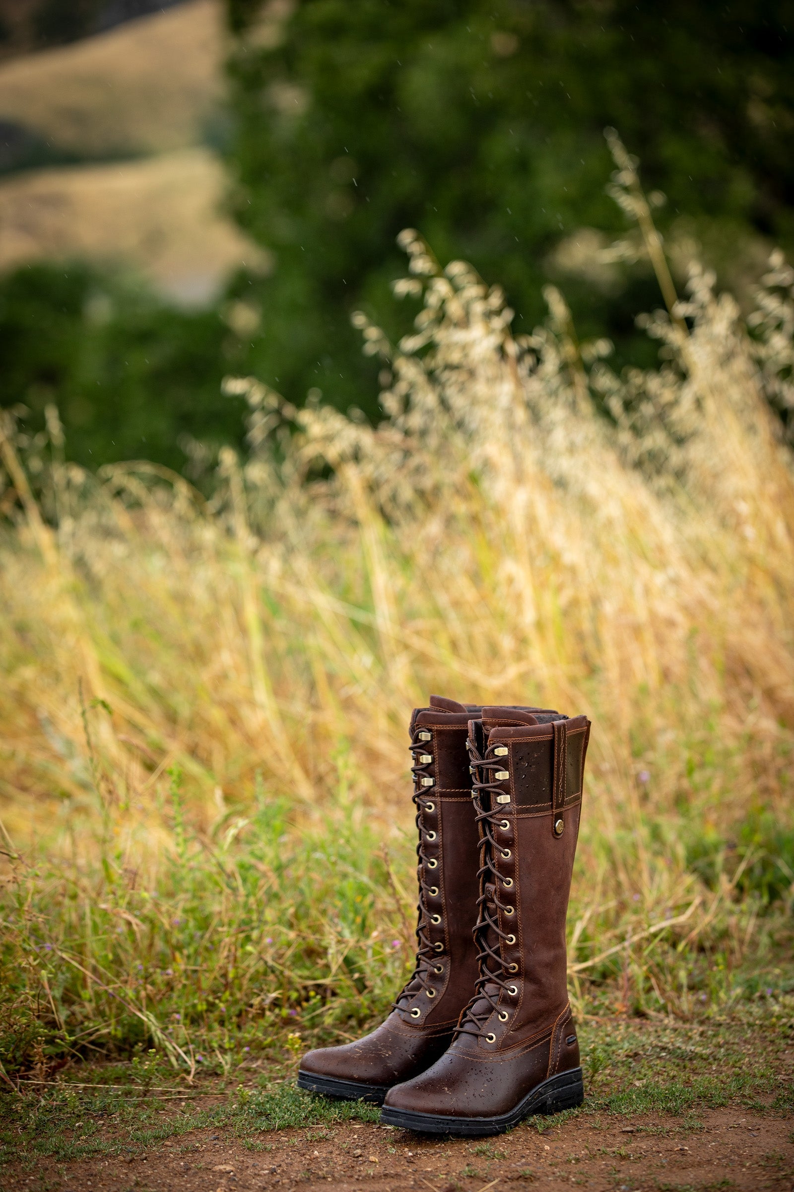 Ariat Women's Wythburn Waterproof Boot Riding Boots & Riding Shoes