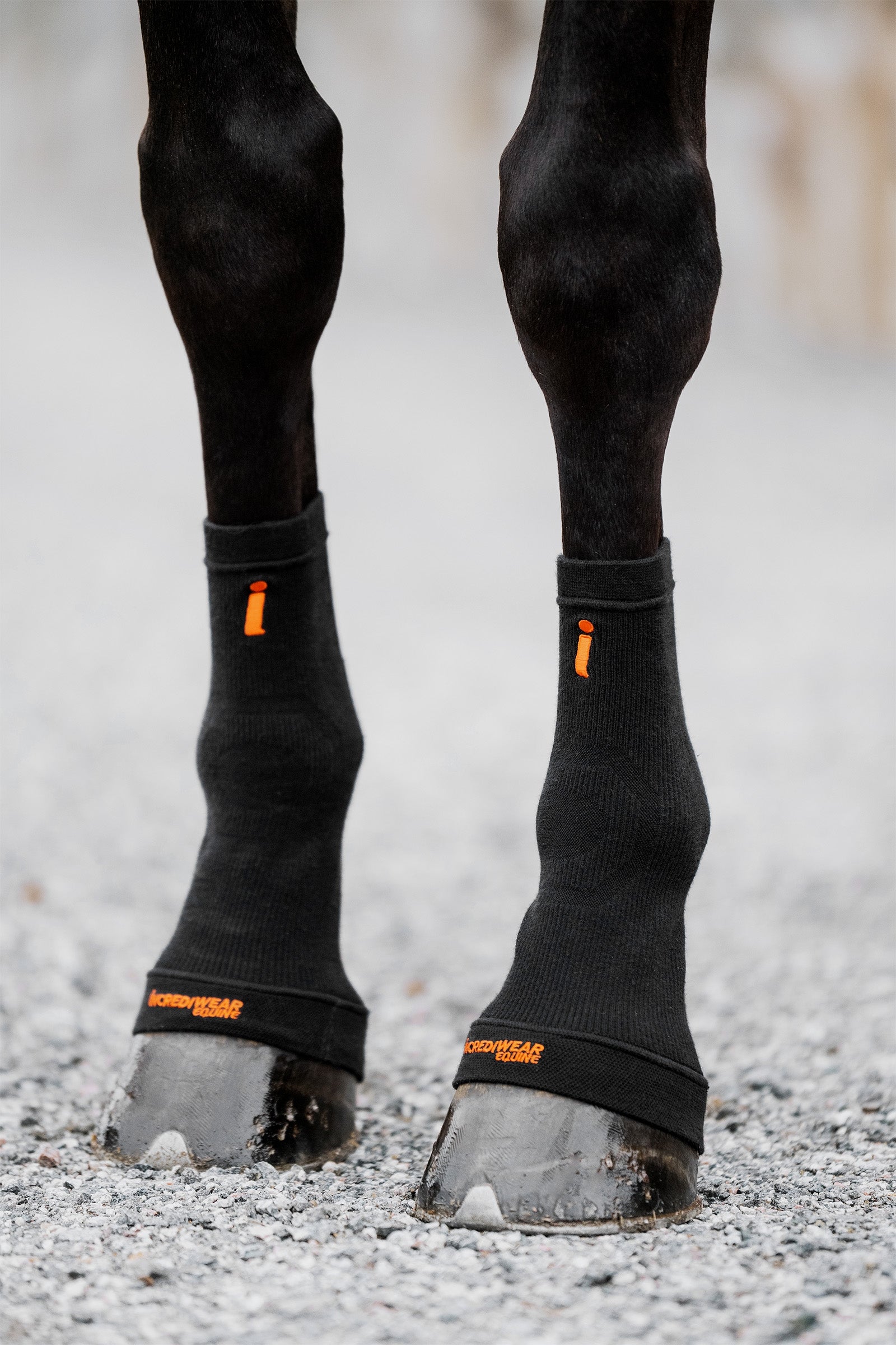 Incrediwear Circulation Calzini protezione per zoccoli Leg Protection & Hoof Protection for Horses